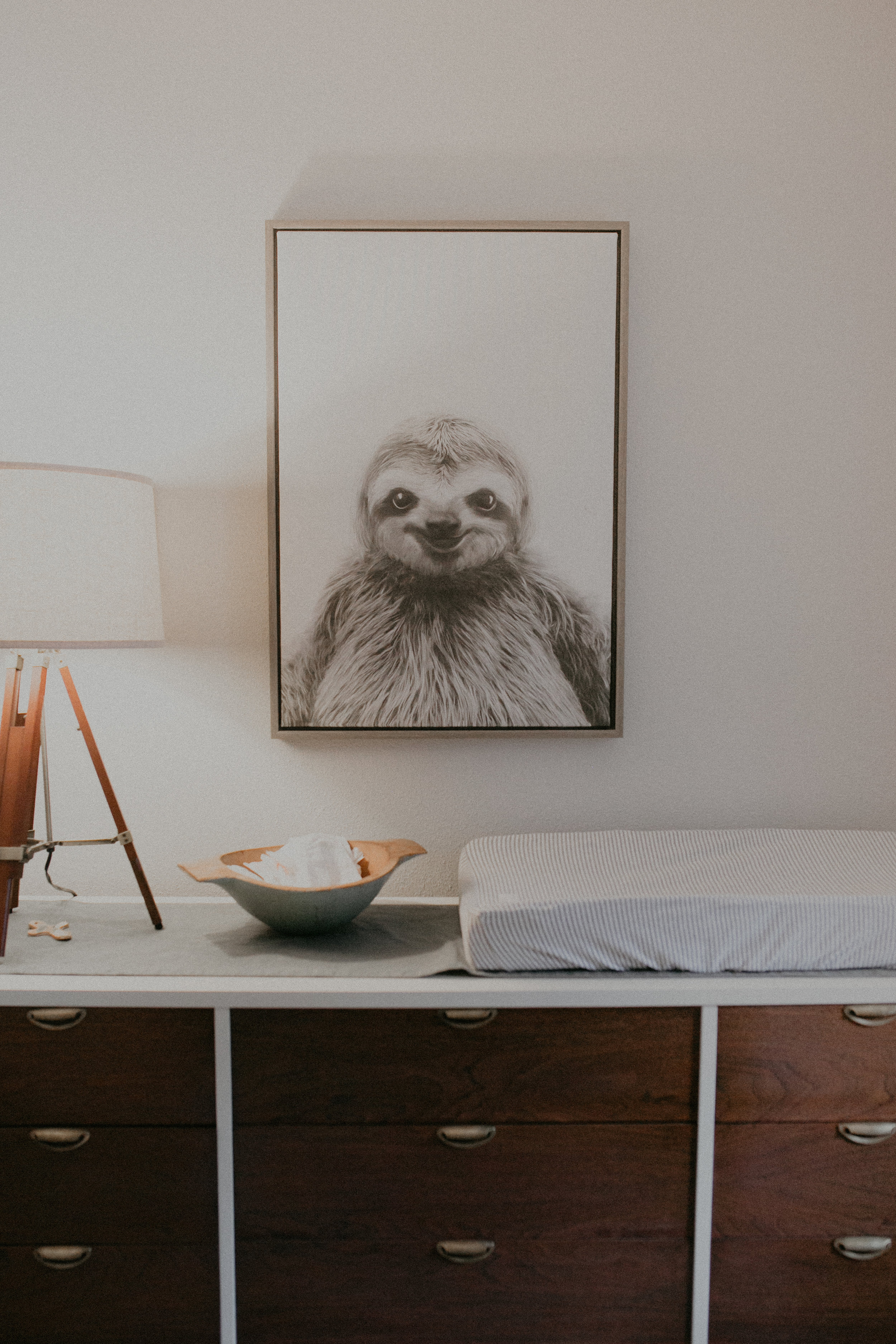 sloth-nursery-river-falls-lifestyle-photographer