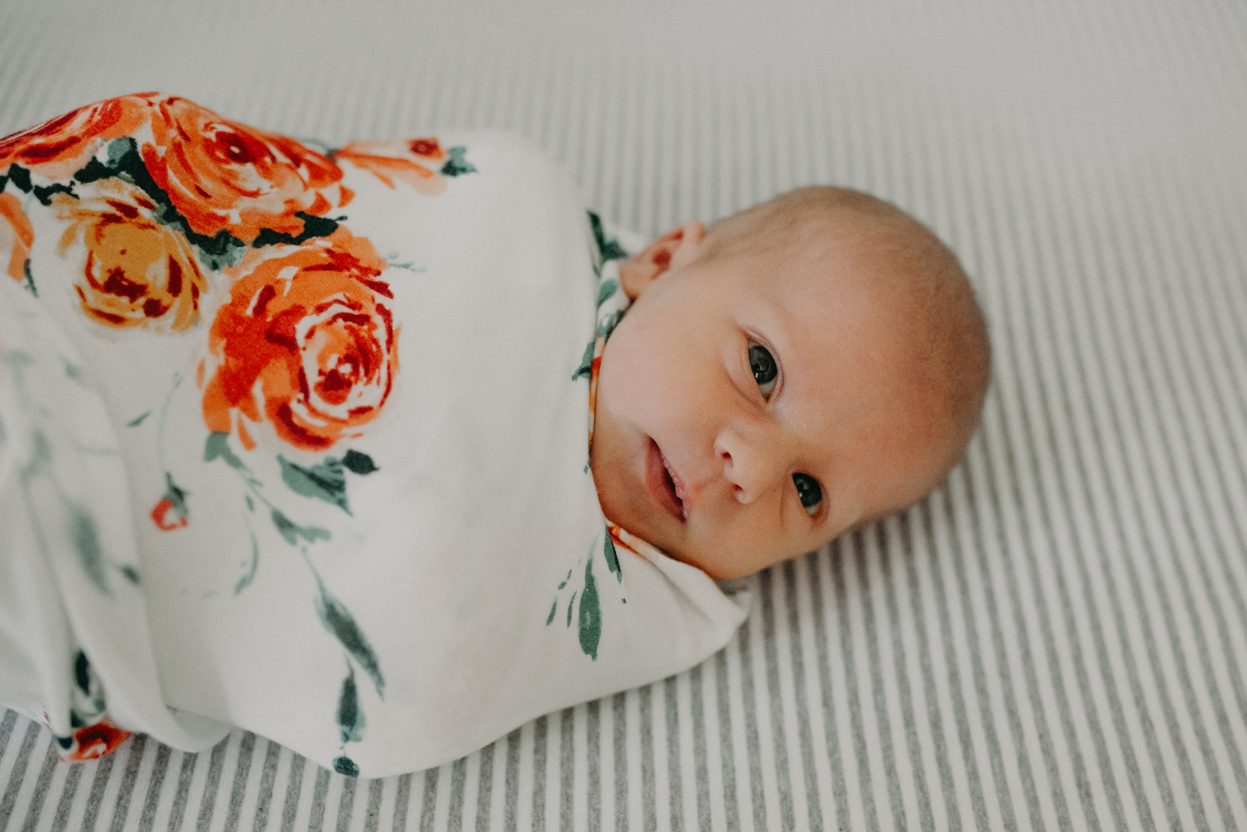 blythe-newborn-lifestyle-session-river-falls-wi