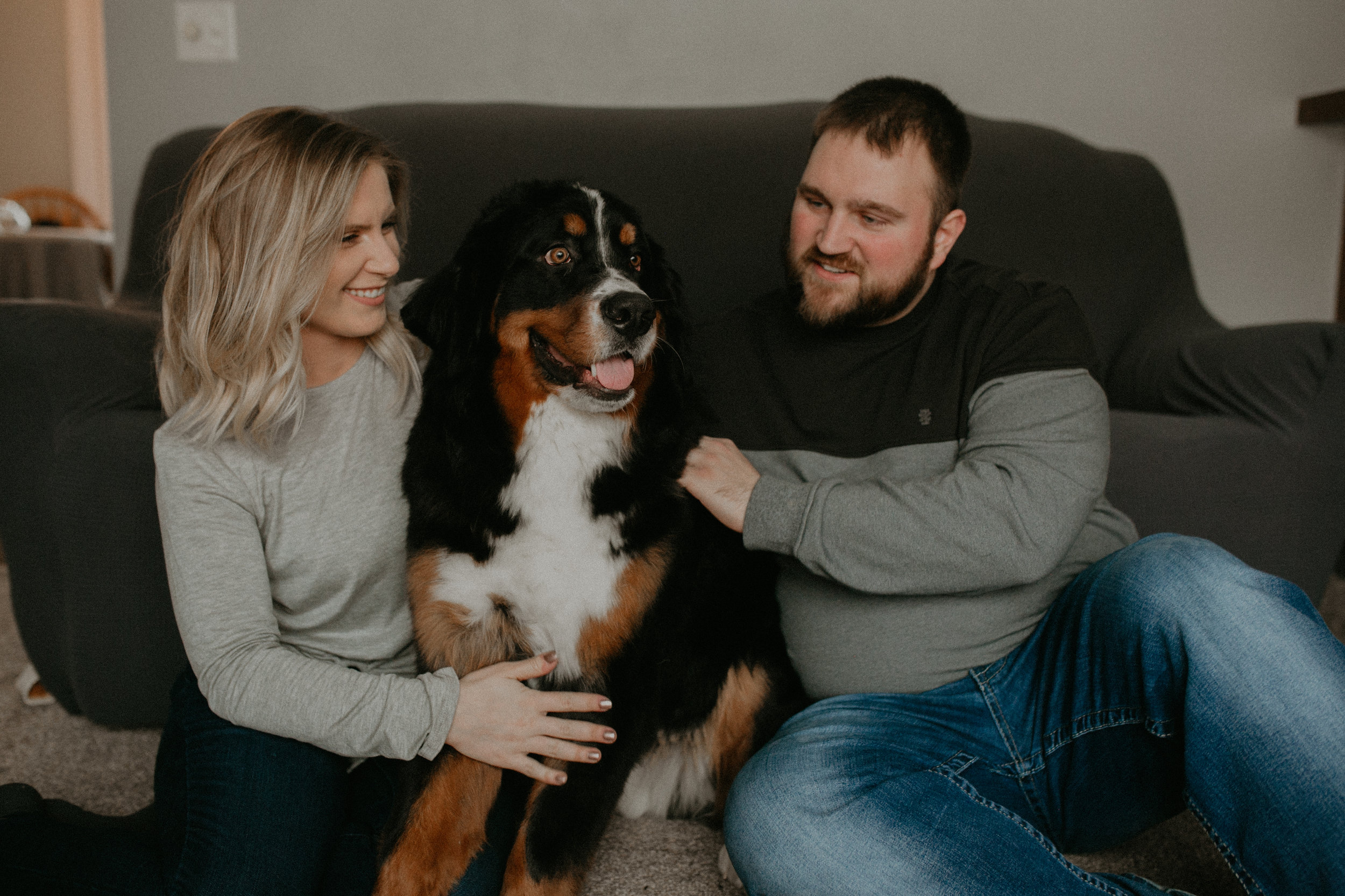 Bernese mountain dog with owners in Athens WI during their engagement session 