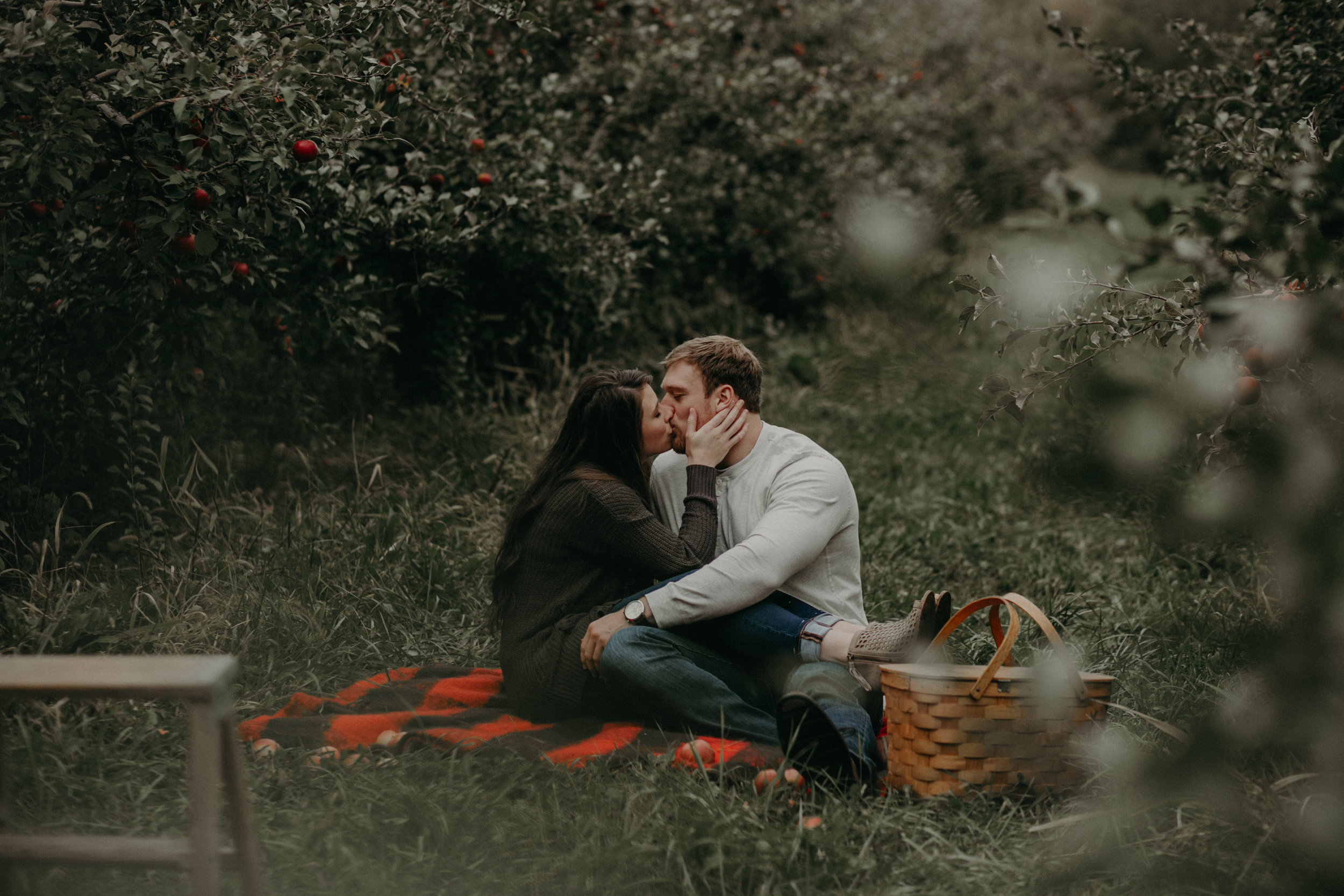  A couple kisses at Whistling Wells Farm in Hastings MN during their engagement session 