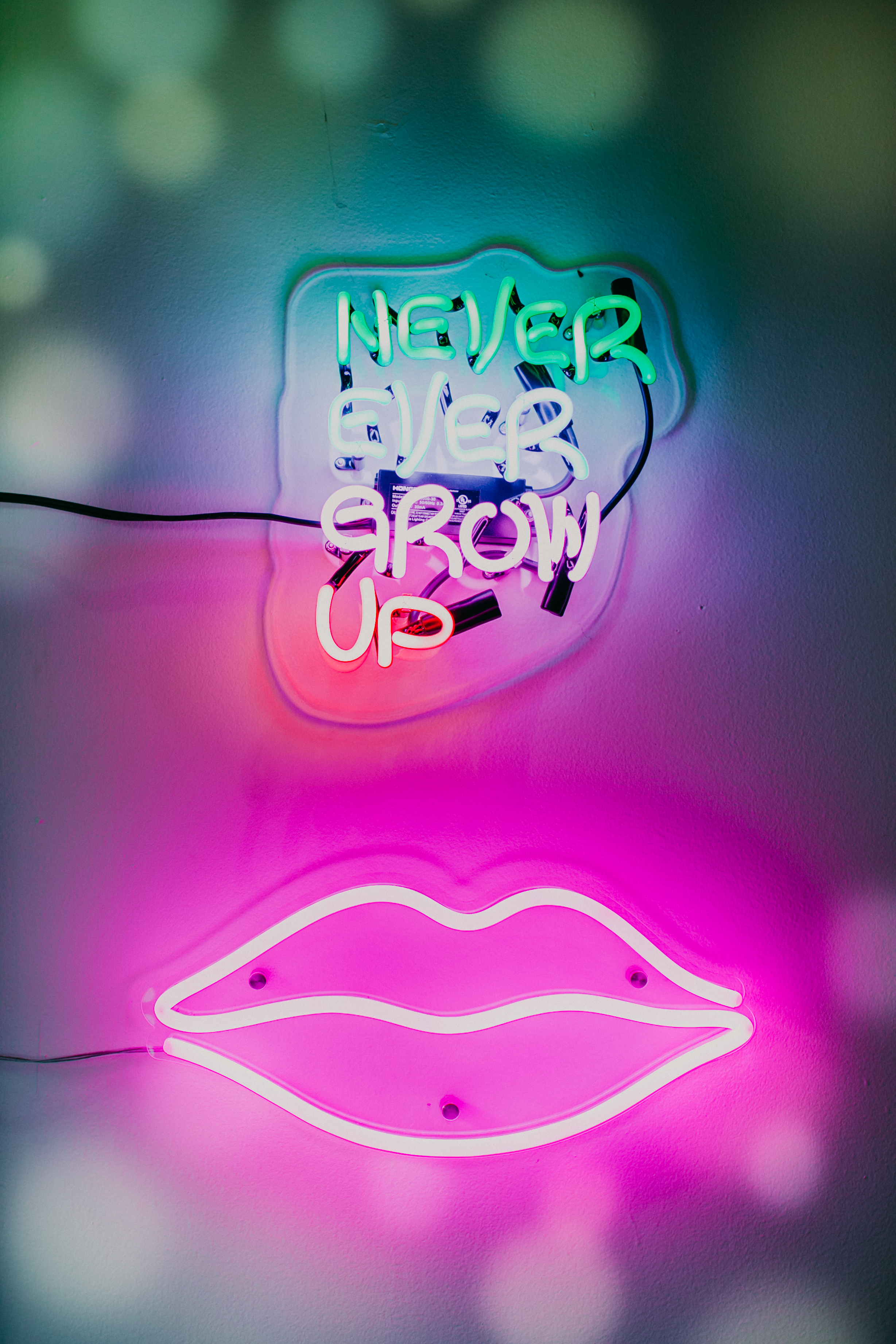  MN Nice Ice Cream in Stillwater has a neon sign that says Never Ever Grow Up 