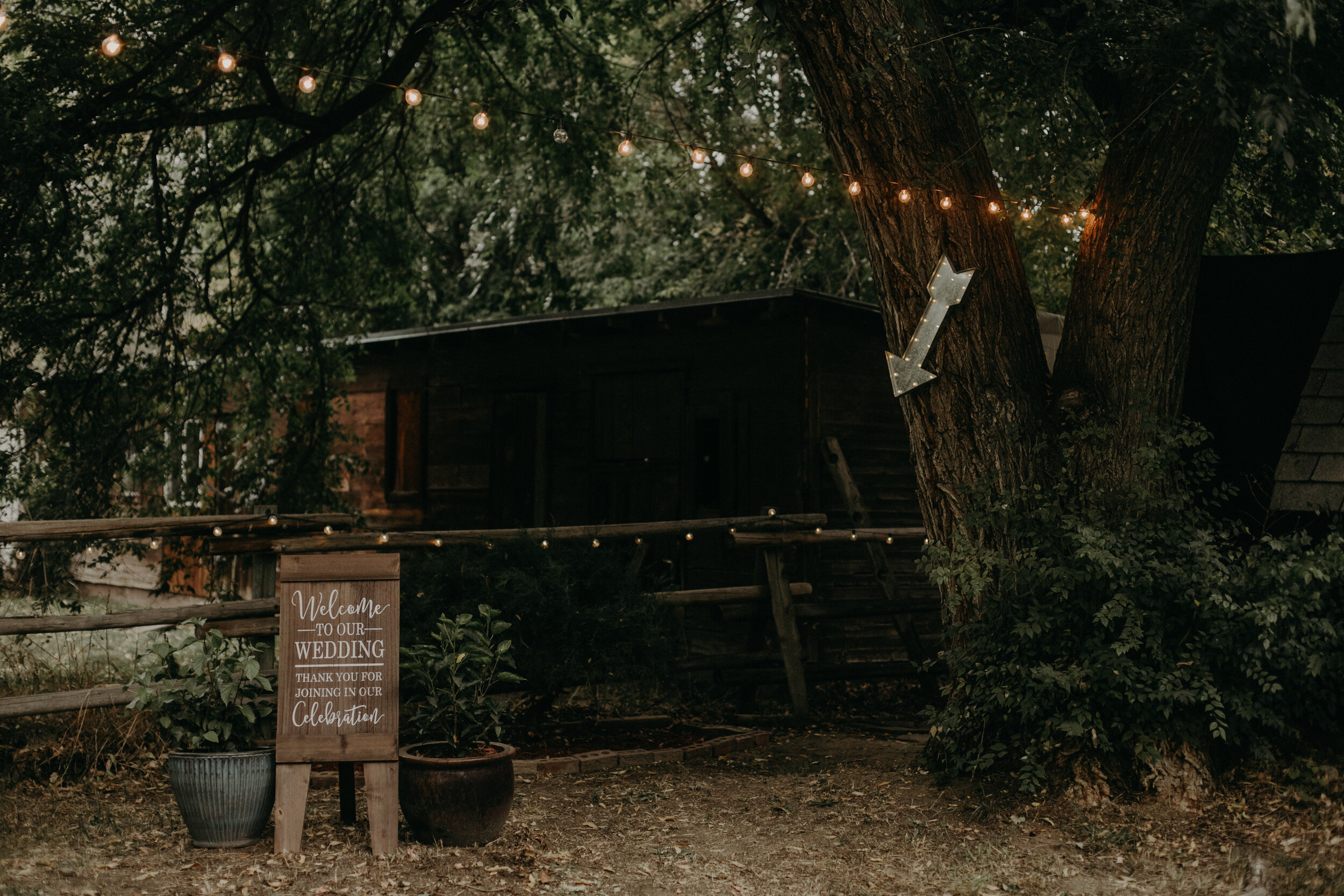  Boulder Colorado wedding photographer Andrea Wagner captures backyard reception 