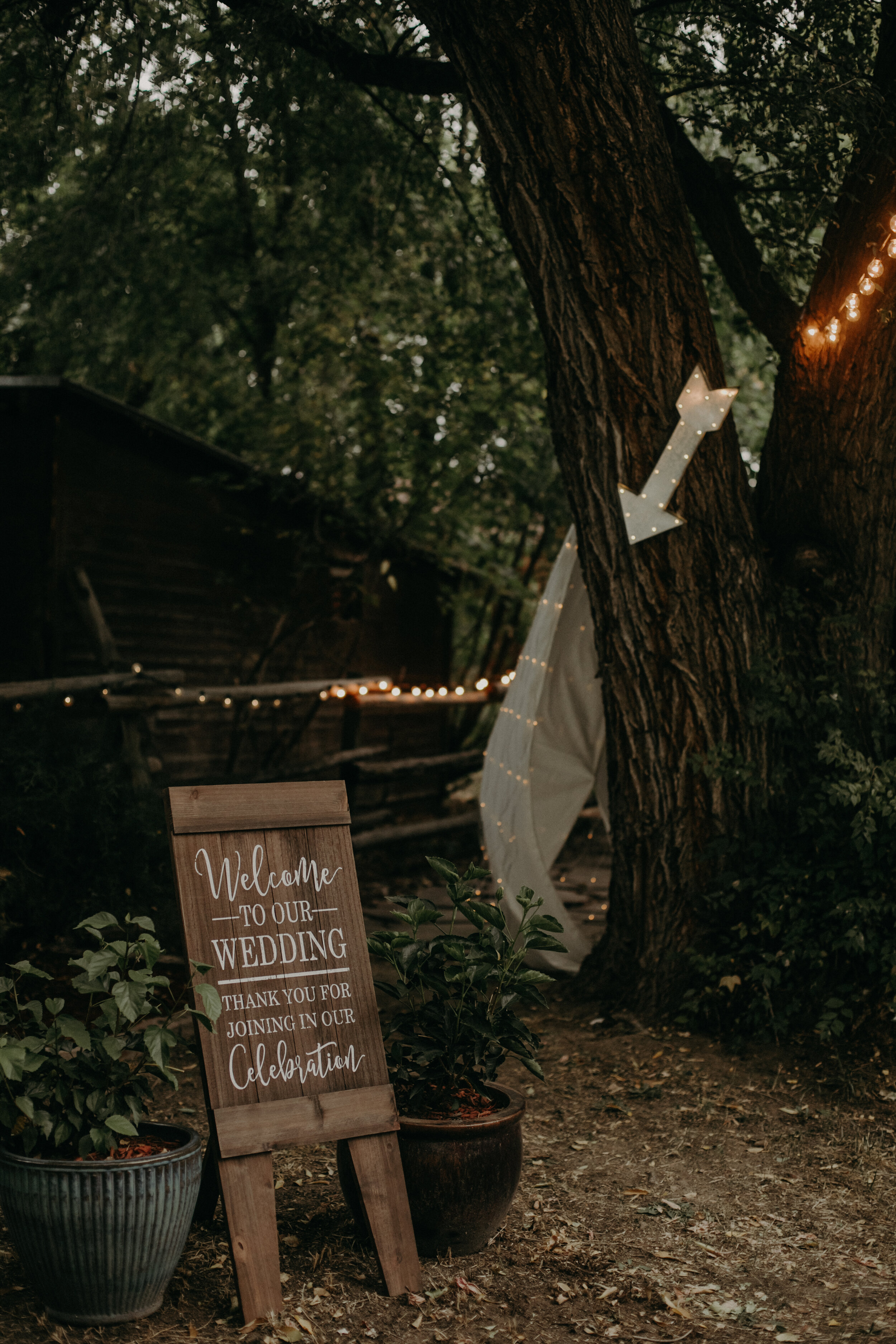 Lost Gulch Look Out Wedding Boulder Colorado Elopement Photographer Andrea Wagner (66 of 94).jpg