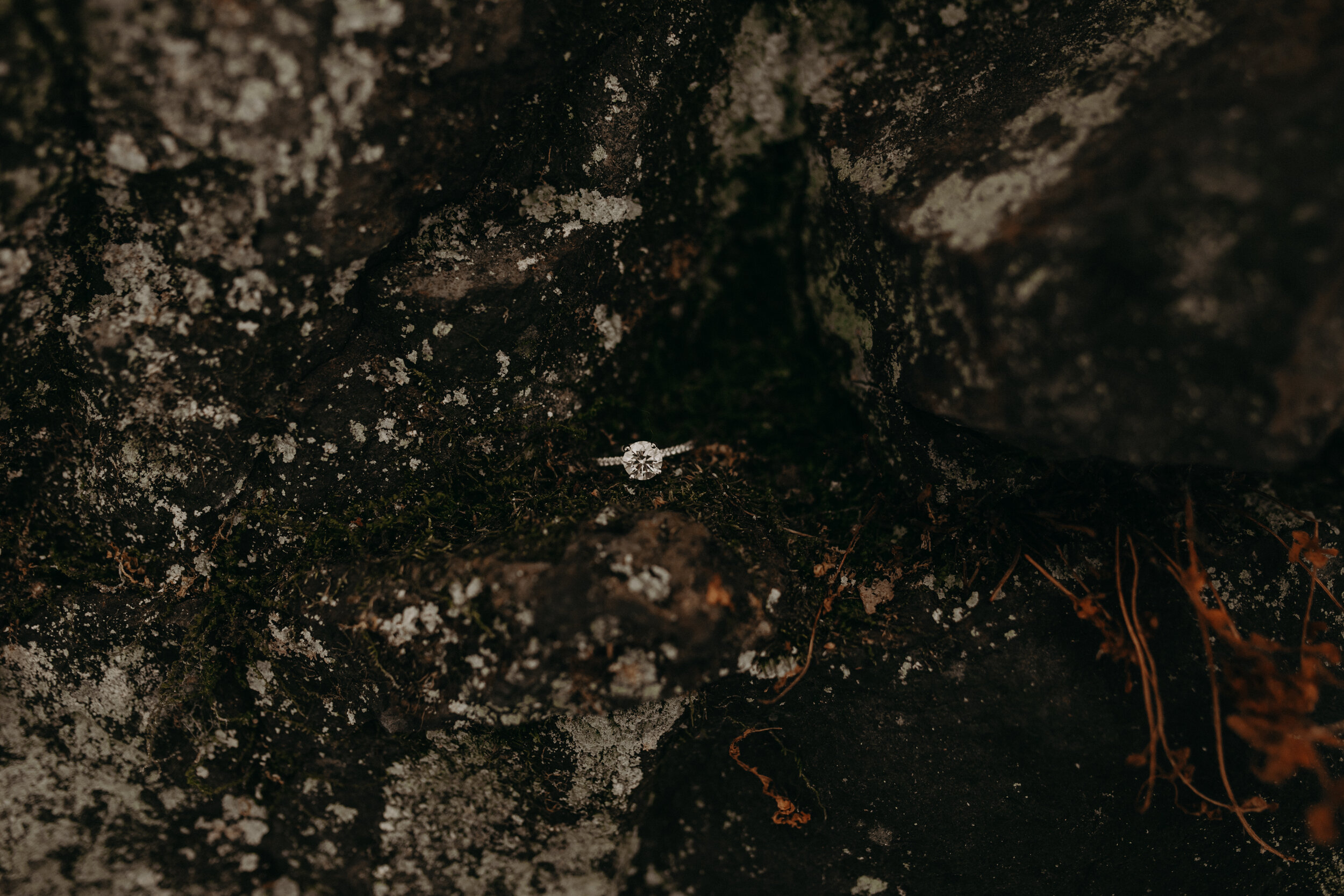  Osceola WI Engagement Session. Interstate State Park Engagement Session. Winter Engagement Session. Winter in Wisconsin Engagement Photoshoot. Wisconsin Couple Photos. Adventurous Couple. Adventurous Engagement Session. Wisconsin Wedding Photographe