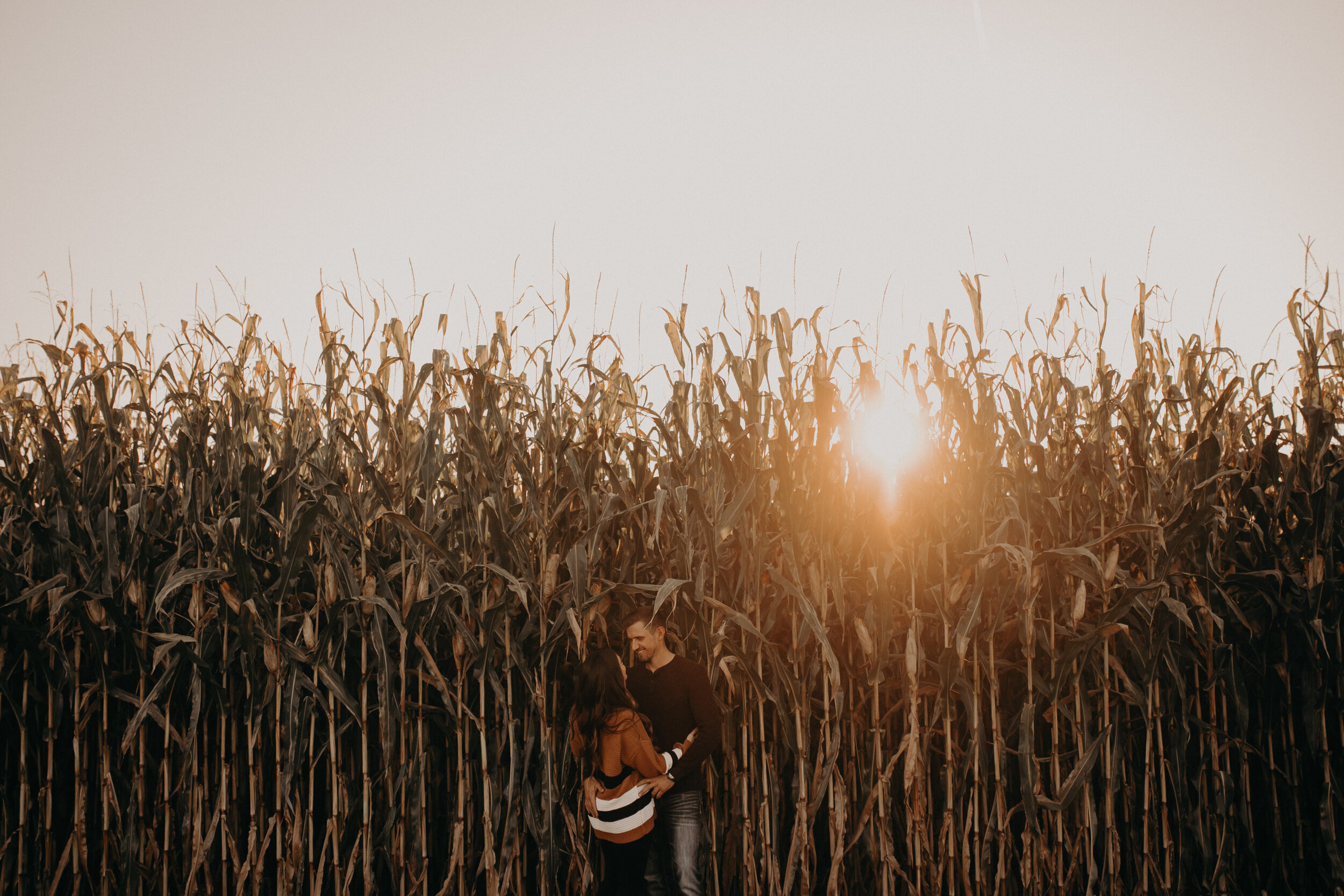  Wisconsin Engagement Session. York, Wisconsin Engagement Session. Autumn Engagement Session. Corn Field Engagement Session. Engagement Session Outfit Inspiration. Minnesota Portrait Photographer. Wisconsin Portrait Photographer. 