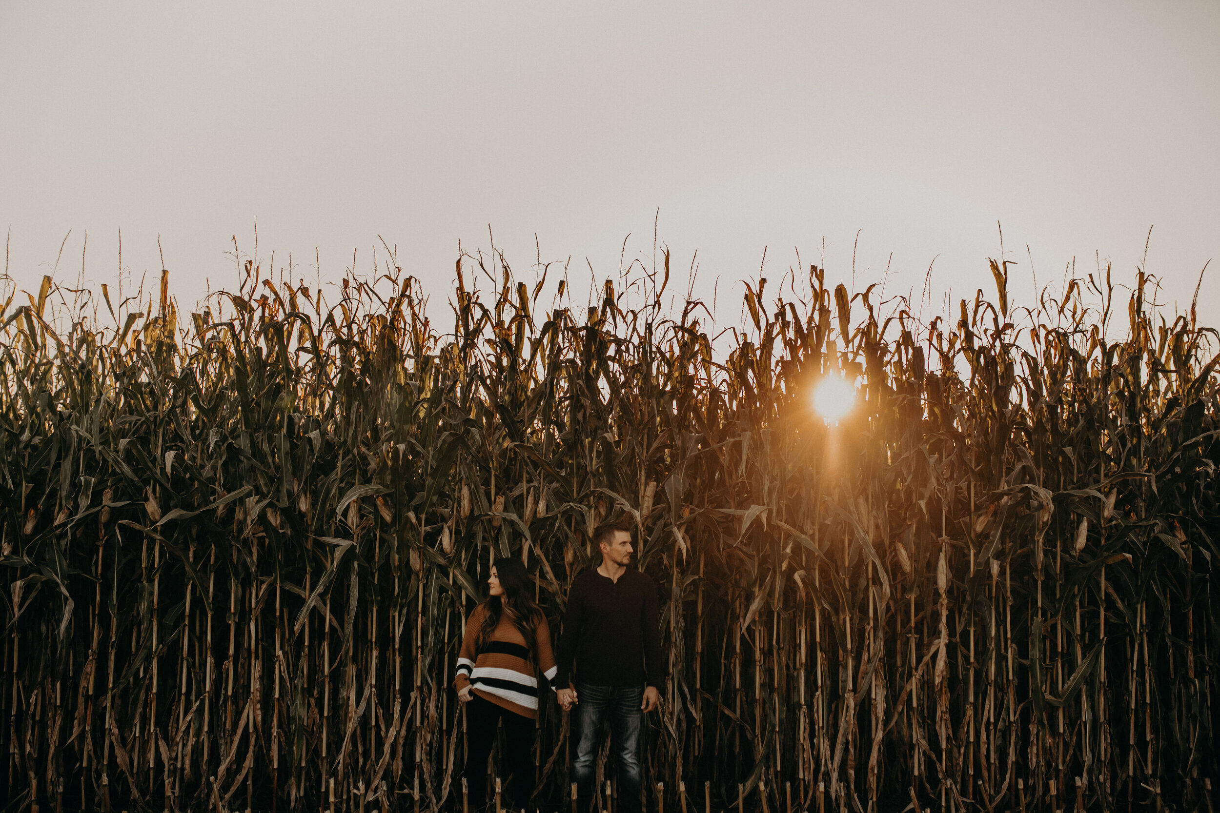  Wisconsin Engagement Session. York, Wisconsin Engagement Session. Autumn Engagement Session. Corn Field Engagement Session. Engagement Session Outfit Inspiration. Minnesota Portrait Photographer. Wisconsin Portrait Photographer. 