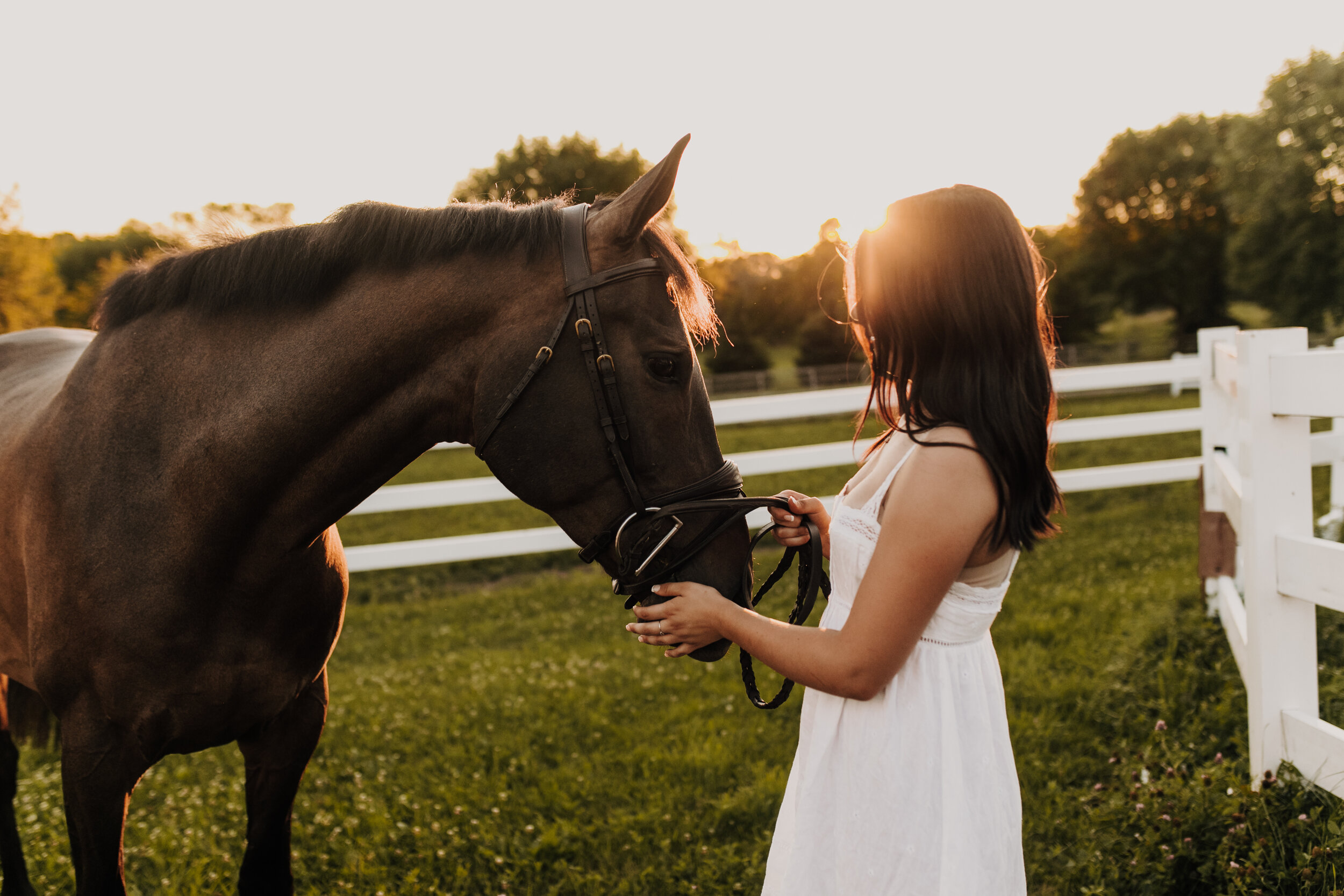  Dandelion Farm in Maple Plain MN. Maple Plain Minnesota horse training barn. Midwest horse training farm. Senior session with horse in Minnesota. Twin Cities equestrian senior session. Equine photography. Horse photographer. Andrea Wagner Photograph