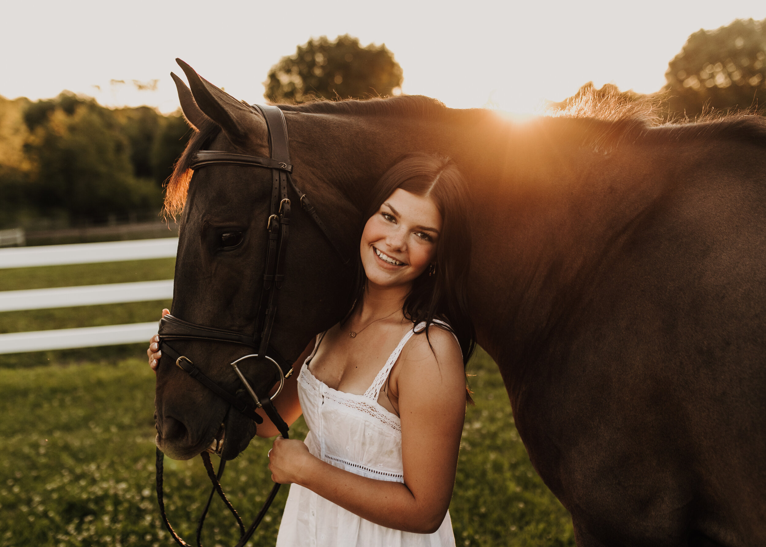  Dandelion Farm in Maple Plain MN. Maple Plain Minnesota horse training barn. Midwest horse training farm. Senior session with horse in Minnesota. Twin Cities equestrian senior session. Equine photography. Horse photographer. Andrea Wagner Photograph