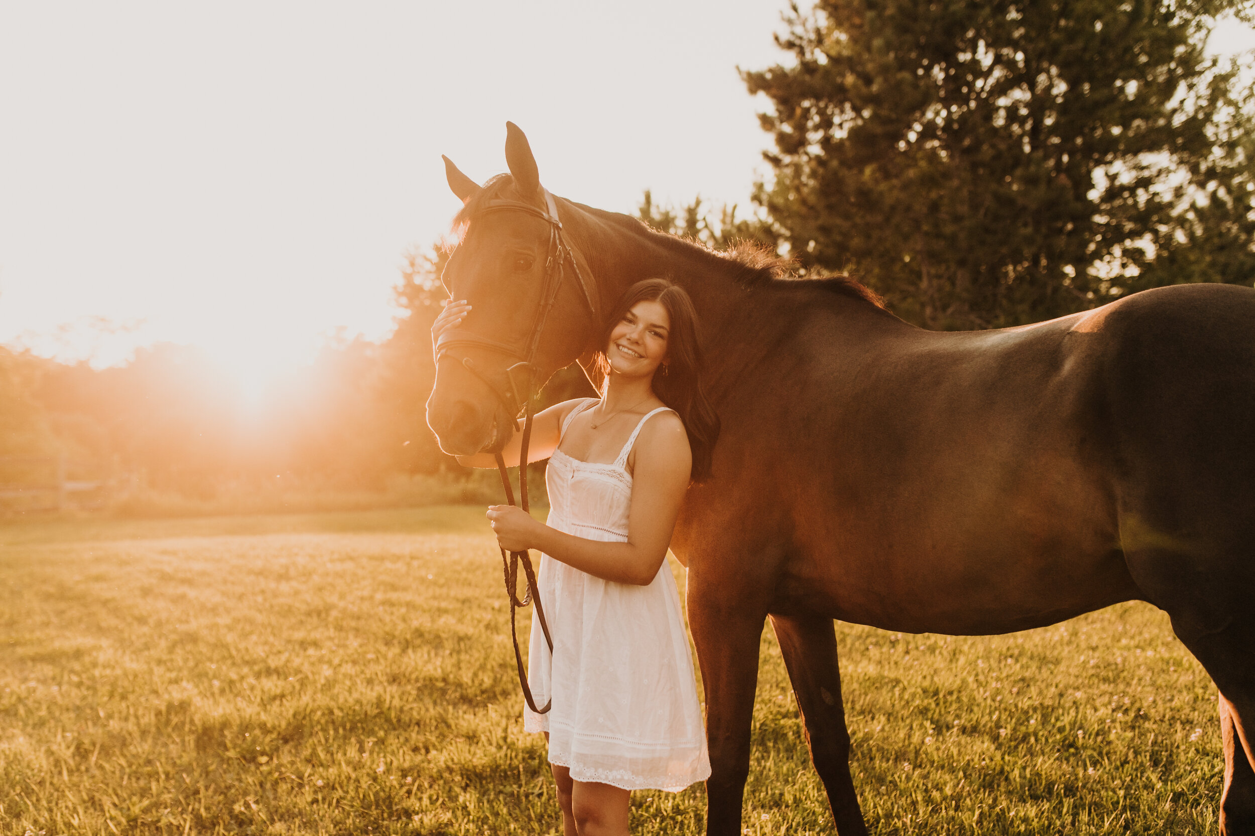  Dandelion Farm in Maple Plain MN. Maple Plain Minnesota horse training barn. Midwest horse training farm. Senior session with horse in Minnesota. Twin Cities equestrian senior session. Equine photography. Horse photographer. Andrea Wagner Photograph