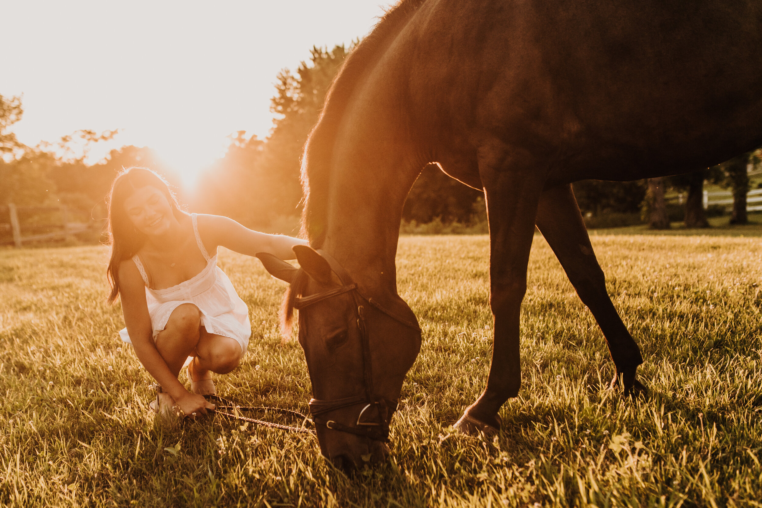  Dandelion Farm in Maple Plain MN. Maple Plain Minnesota horse training barn. Midwest horse training farm. Senior session with horse in Minnesota. Twin Cities equestrian senior session. Equine photography. Horse photographer. Andrea Wagner Photograph