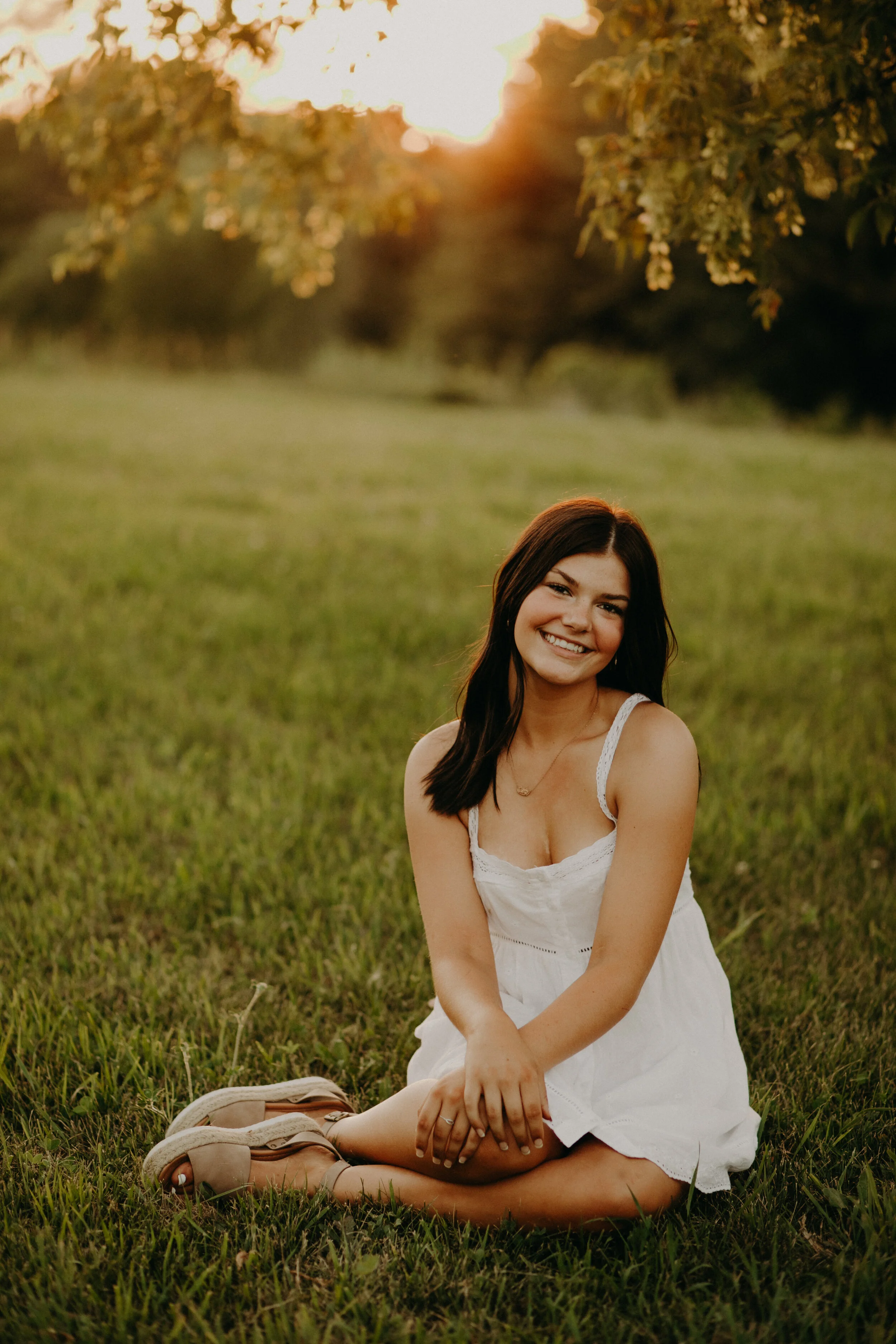 Equine Senior Session At Dandelion Farm Andrea Wagner Photography