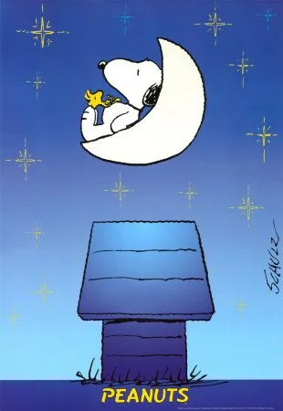 snoopy.jpg