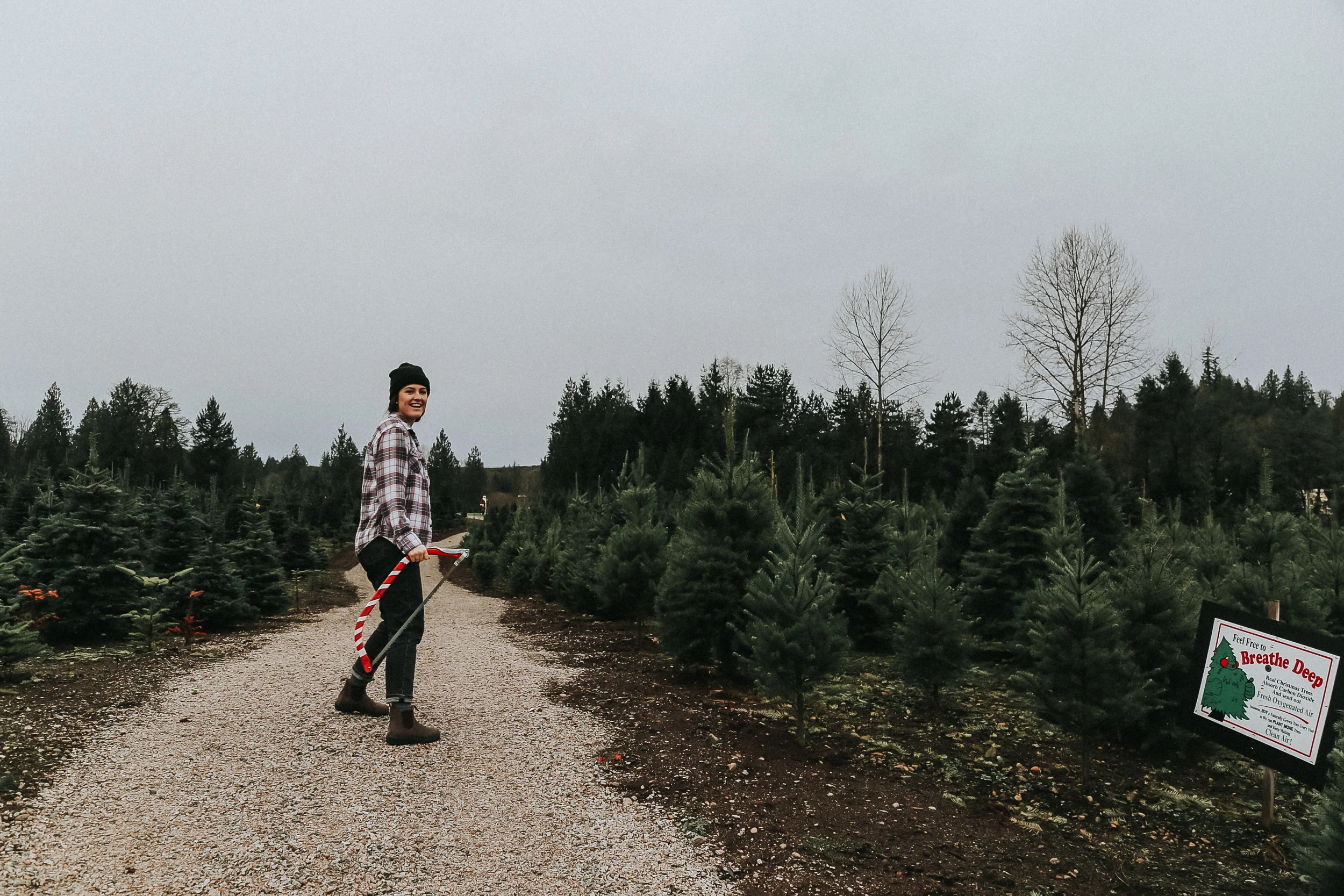 christmastree-6.jpg