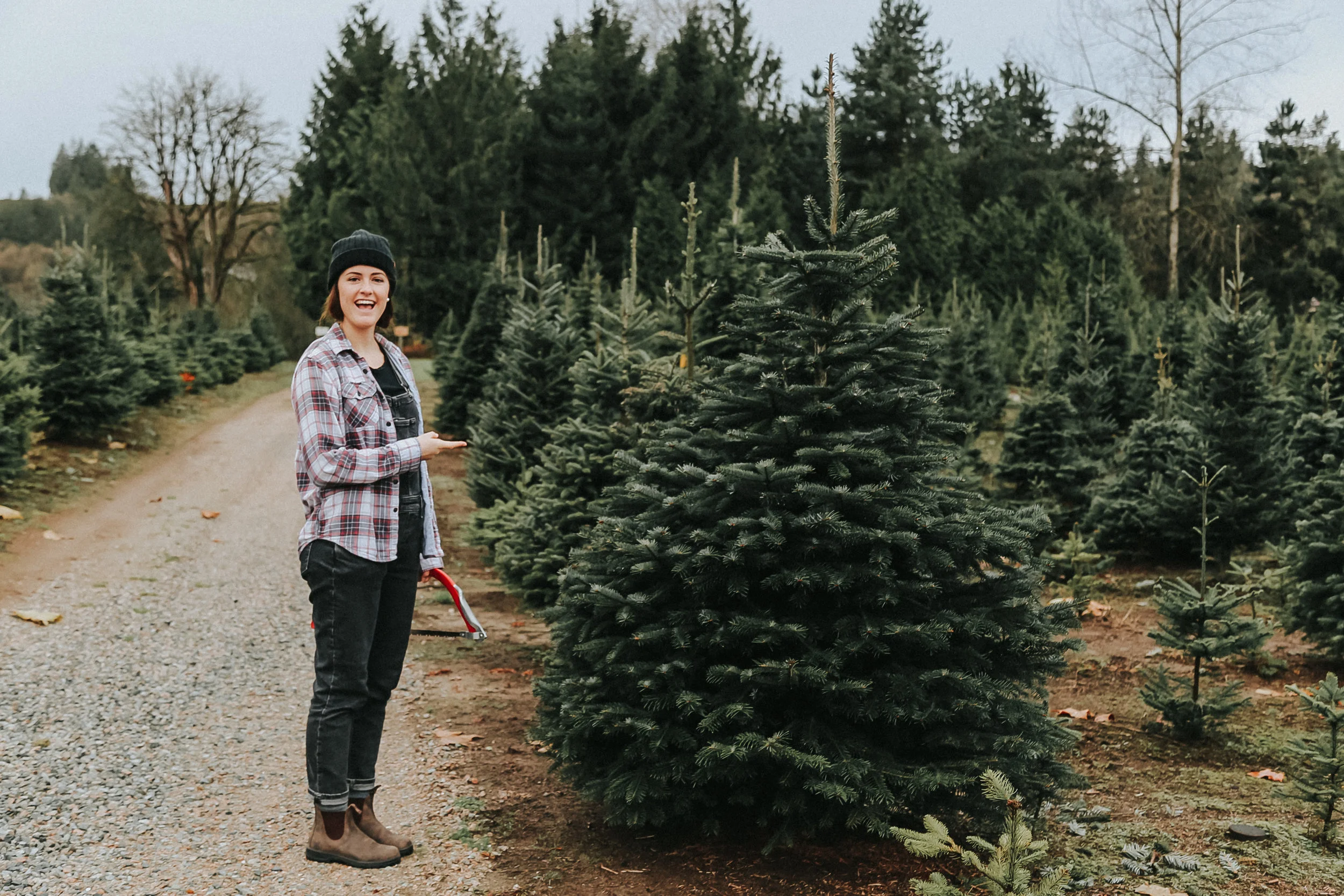 christmastree-10.jpg