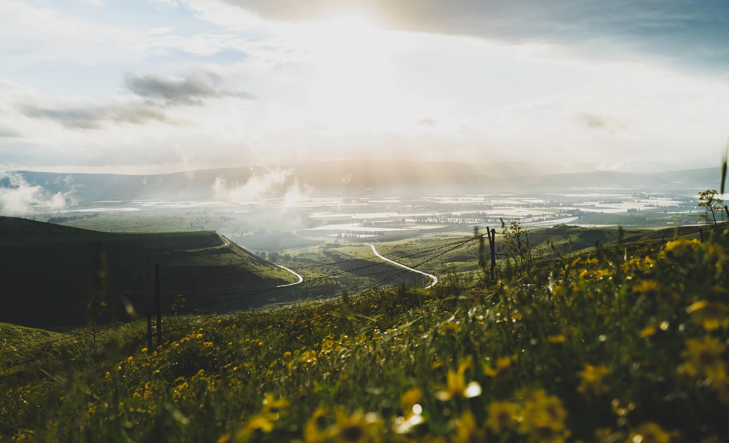 aviv-ben-or-1494731-unsplash.jpg