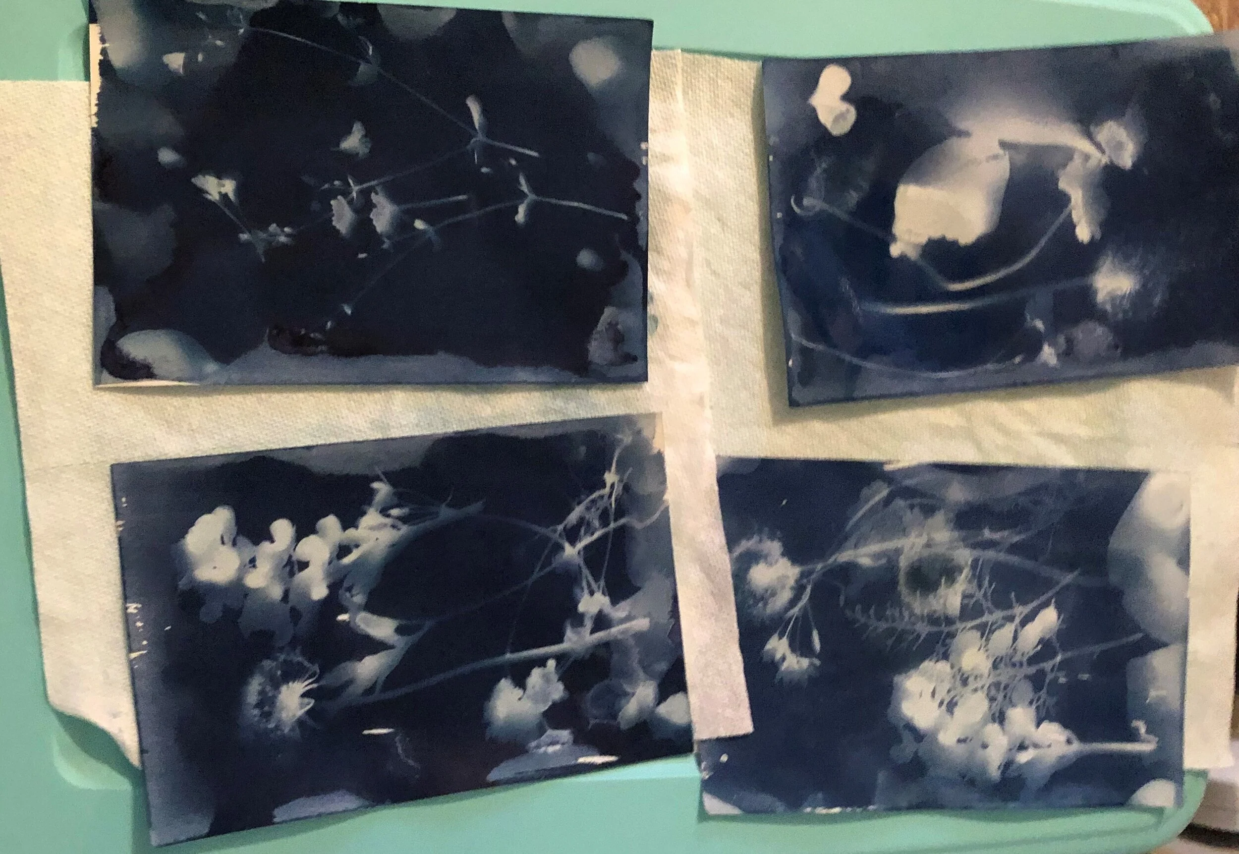 Cyanotype3.jpg