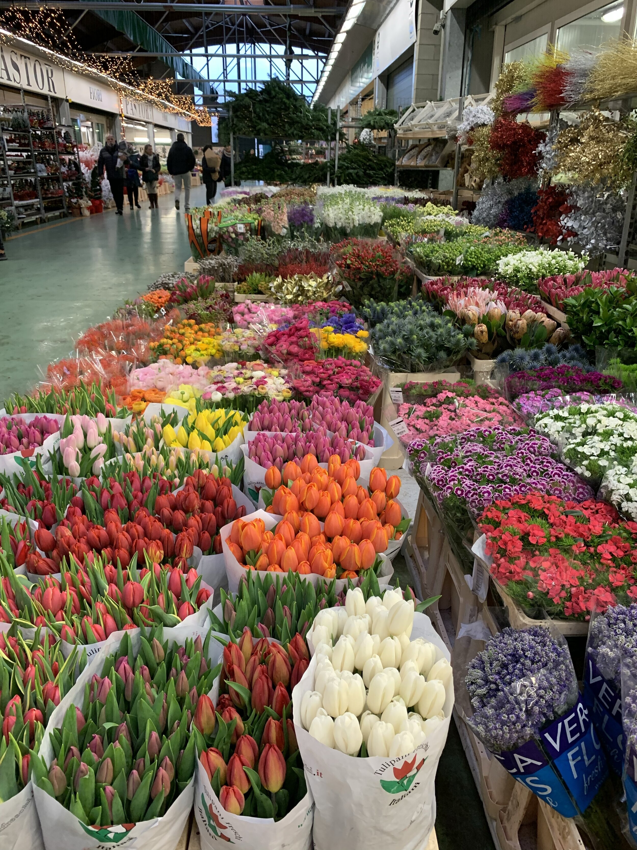 florence flower market.jpeg