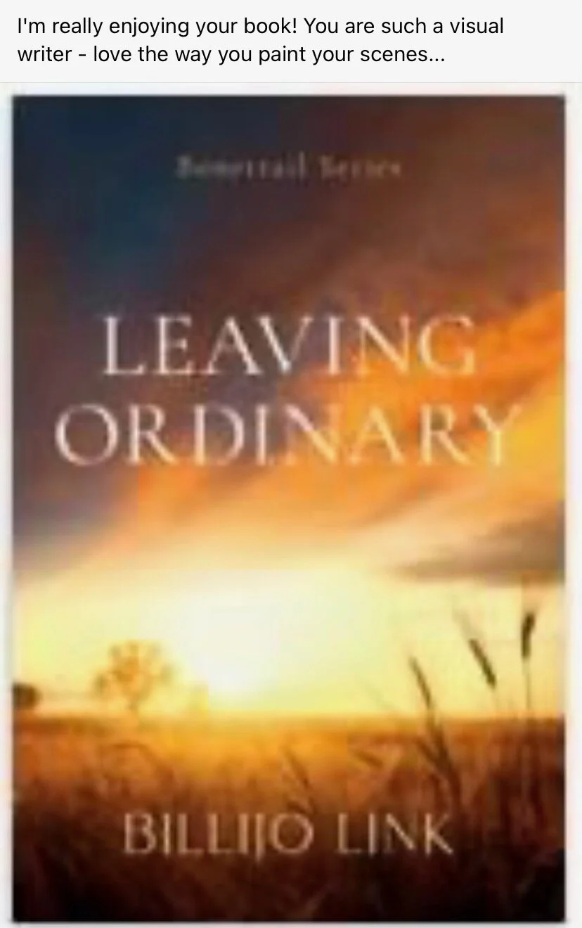 leaving ordinary cover from lisa stapleton weldon.jpeg