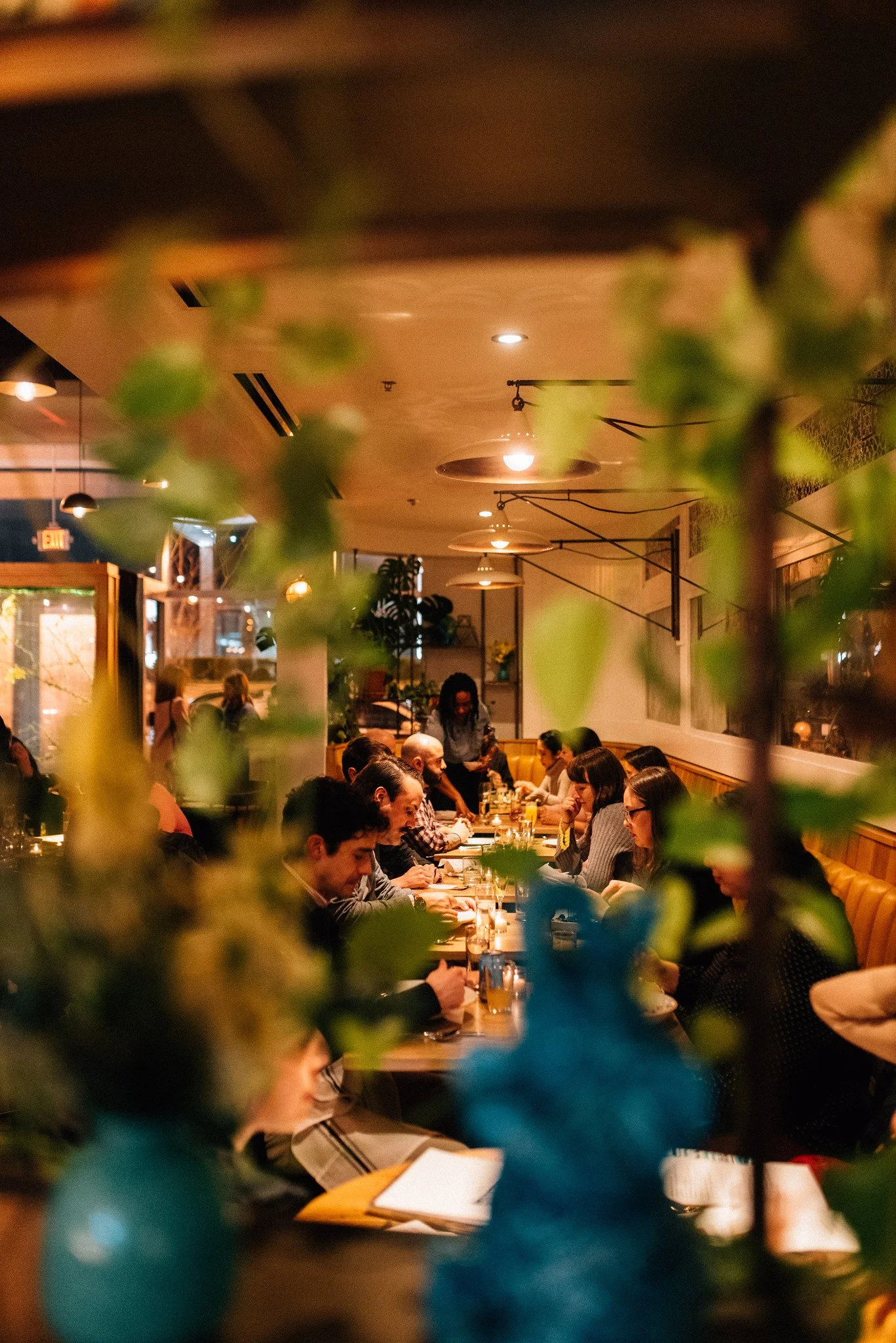 Sardella St. Louis.jpg