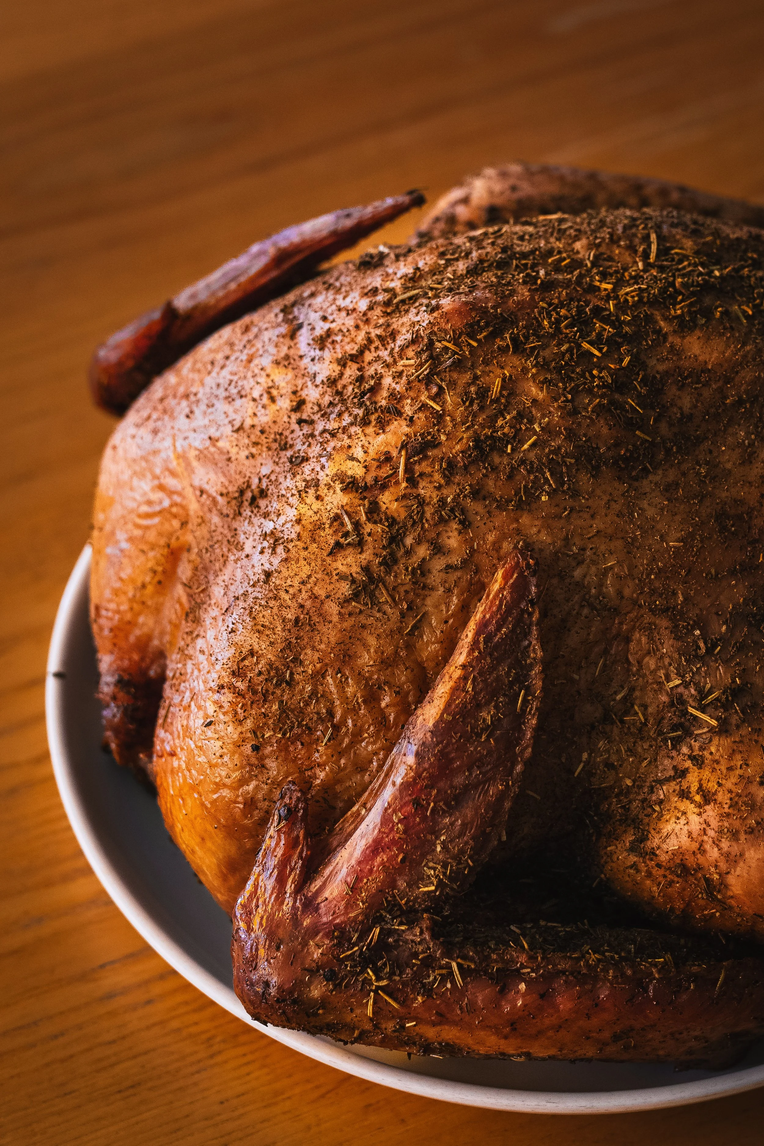 Thanksgiving_Turkey-Casa-20251009.jpg