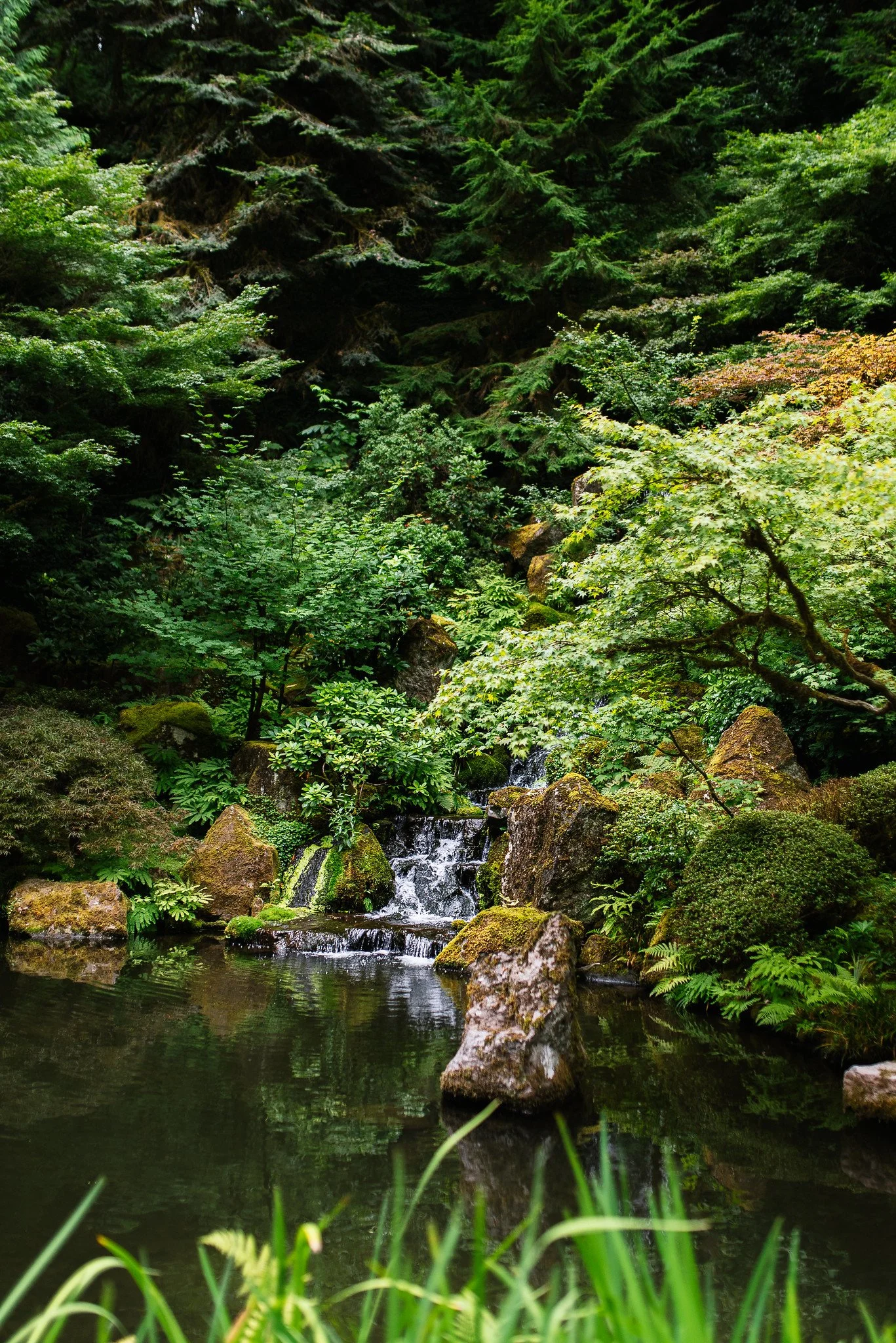 Portland Japanese Garden.jpg