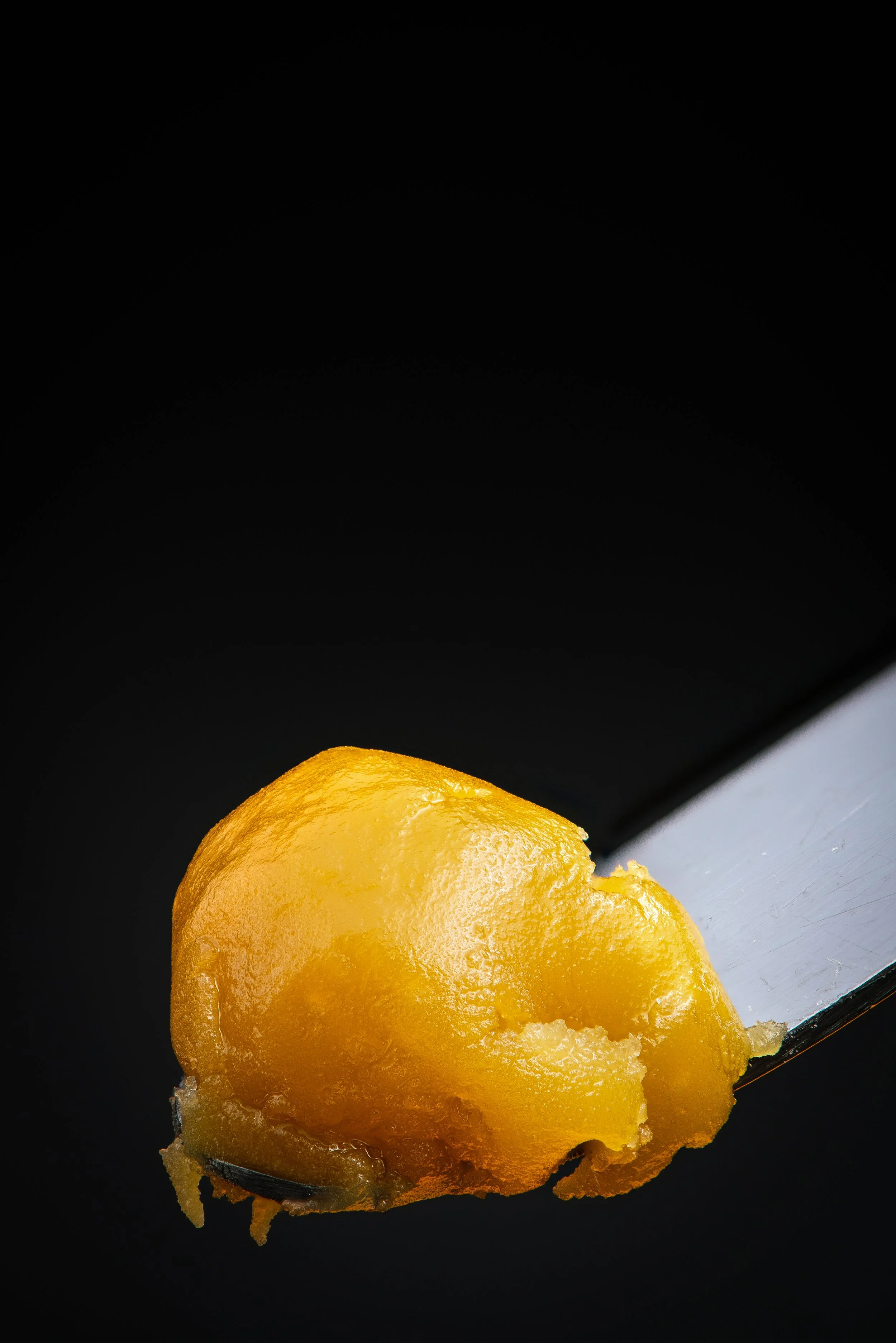 Badder_2021-11 (4 of 5).jpg