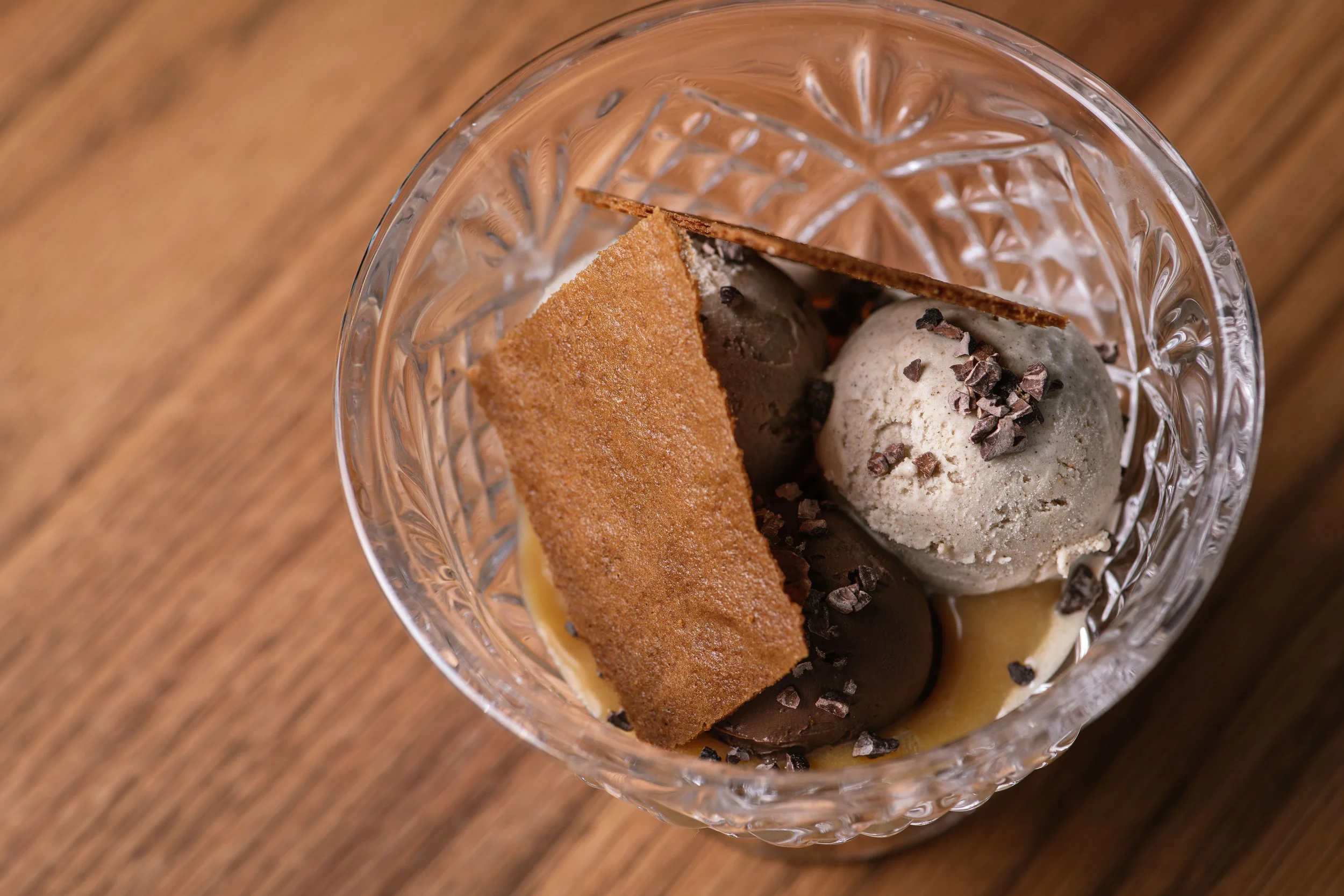 2026-03-19 Robin-13182.jpg