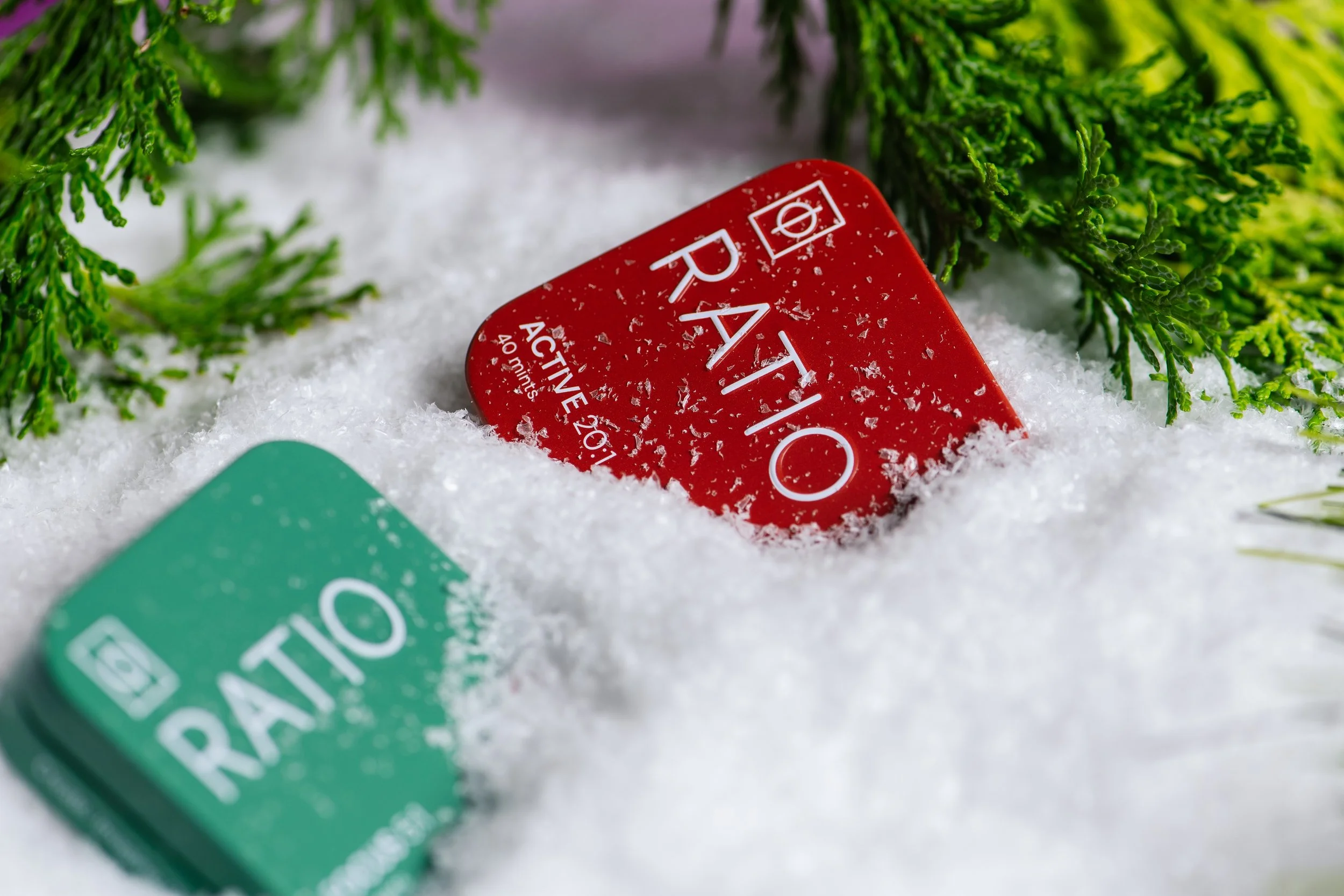 Holiday Photos 2023-91.jpg