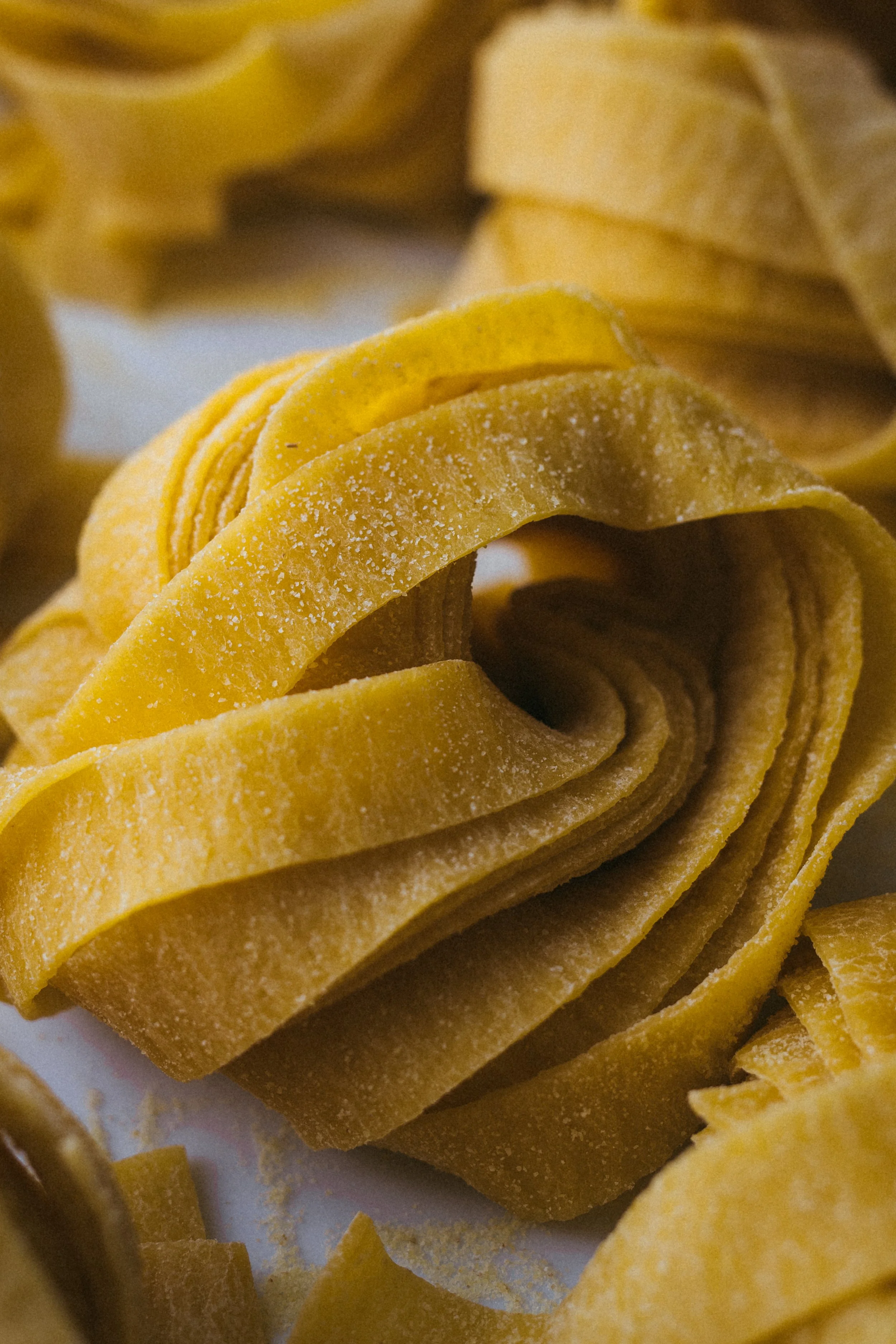 Tagliatelle Macro-Press-20260204-32.jpg