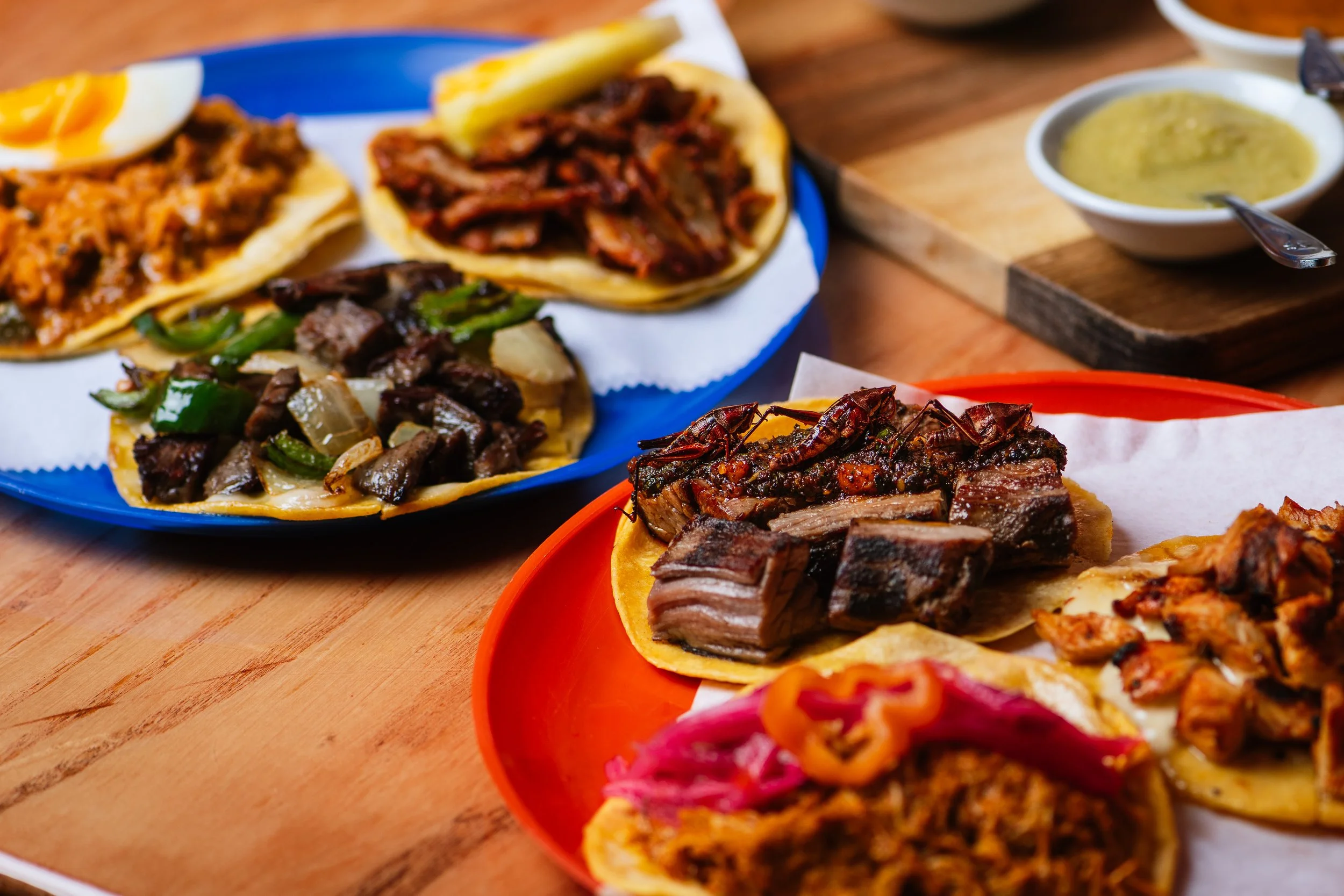 2026-03-26 Mestiza-14018.jpg