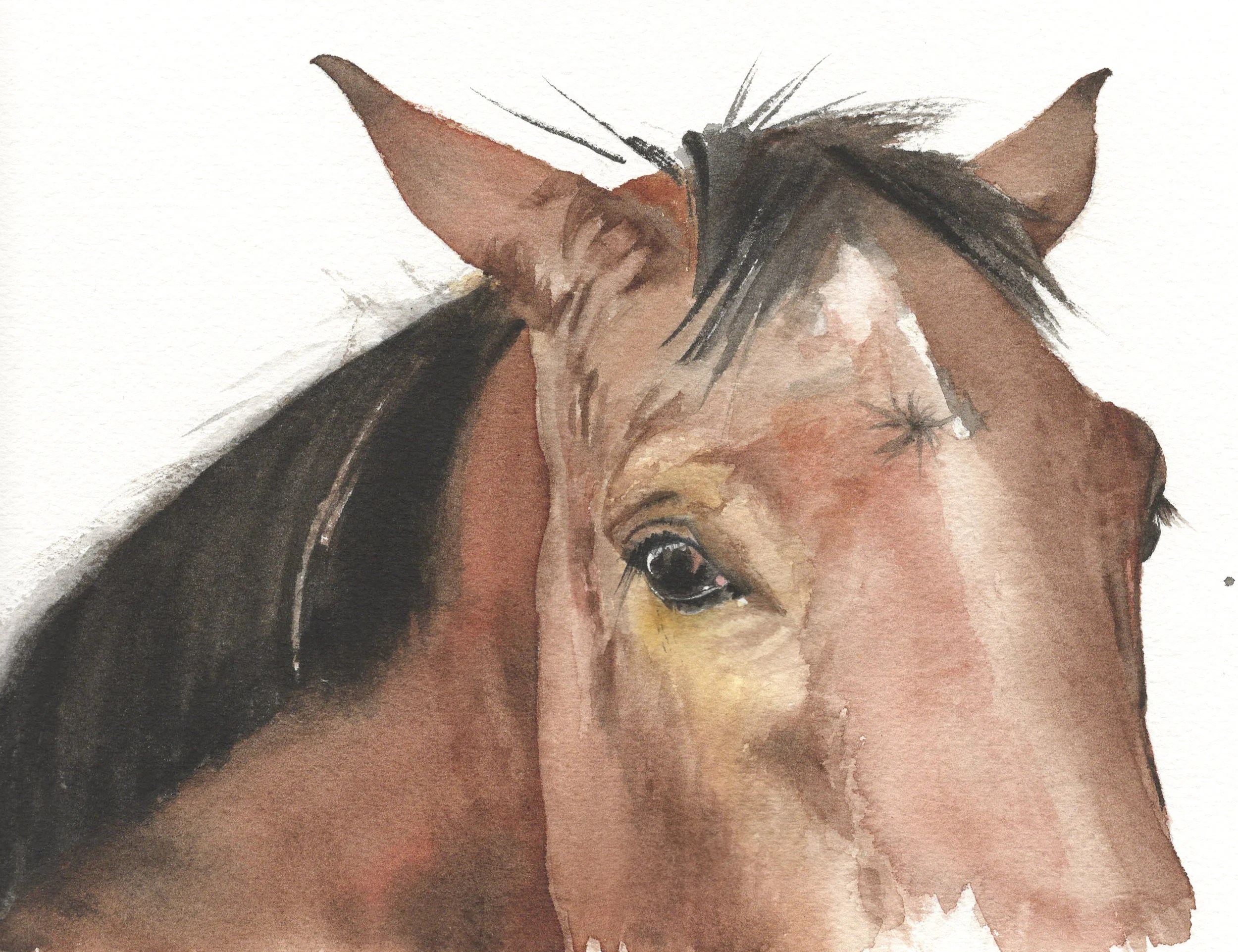Nico's Horse