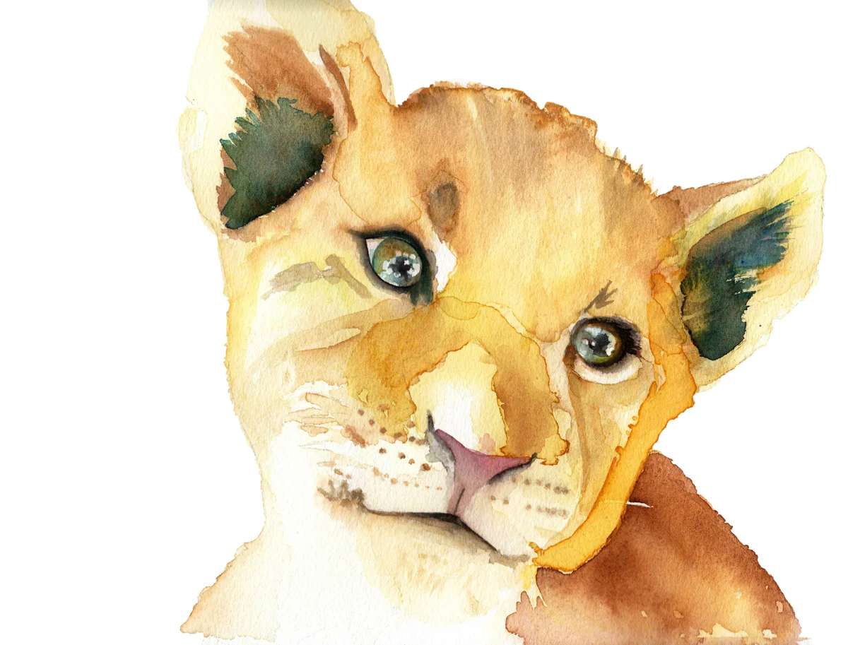 Baby Tiger