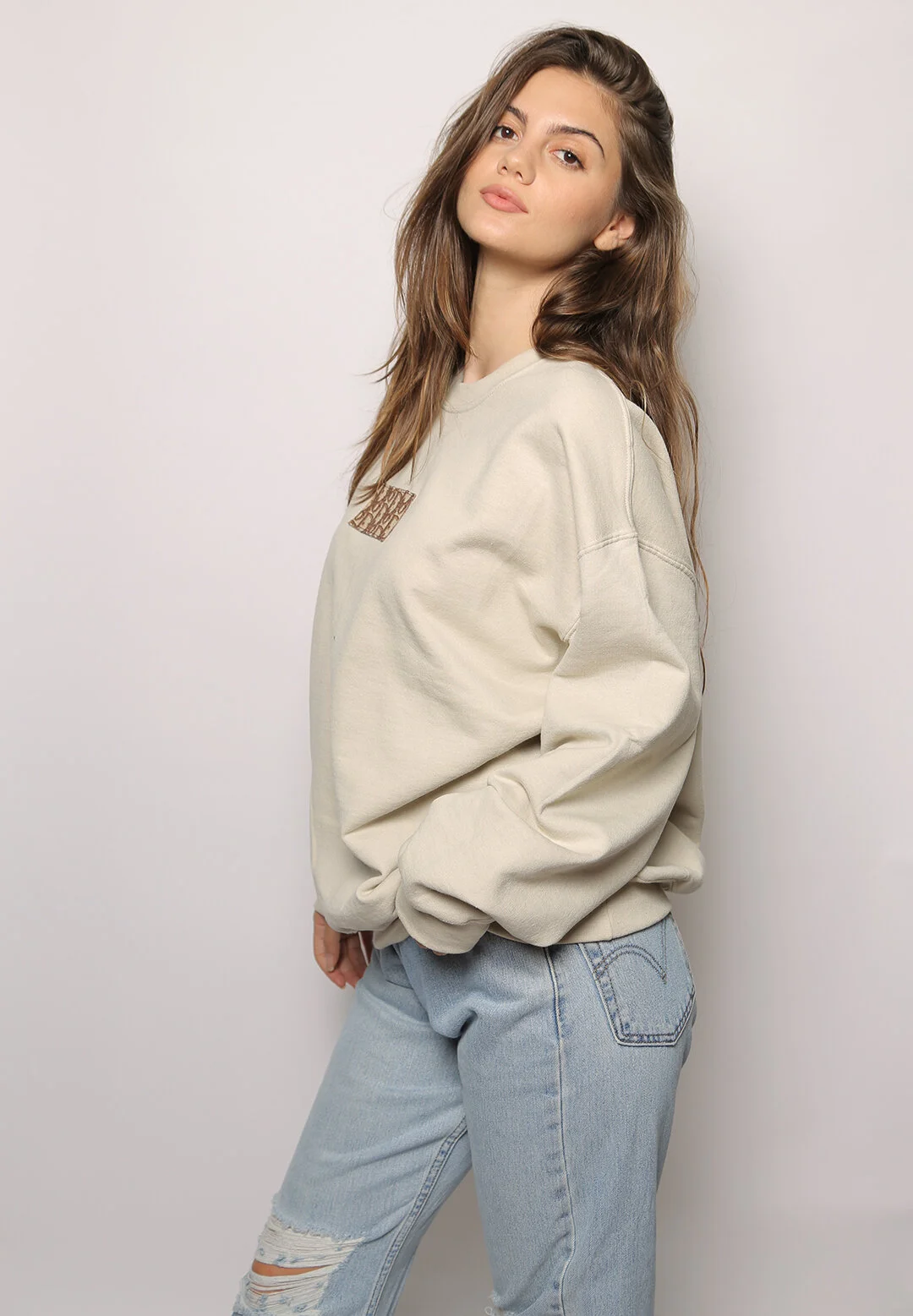 dior patch oversized crewneck sweatshirt — iamkoko.la