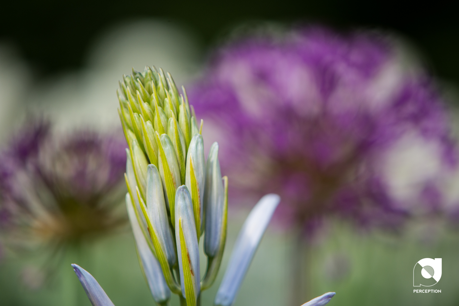Neel_ReSized-1741.jpg