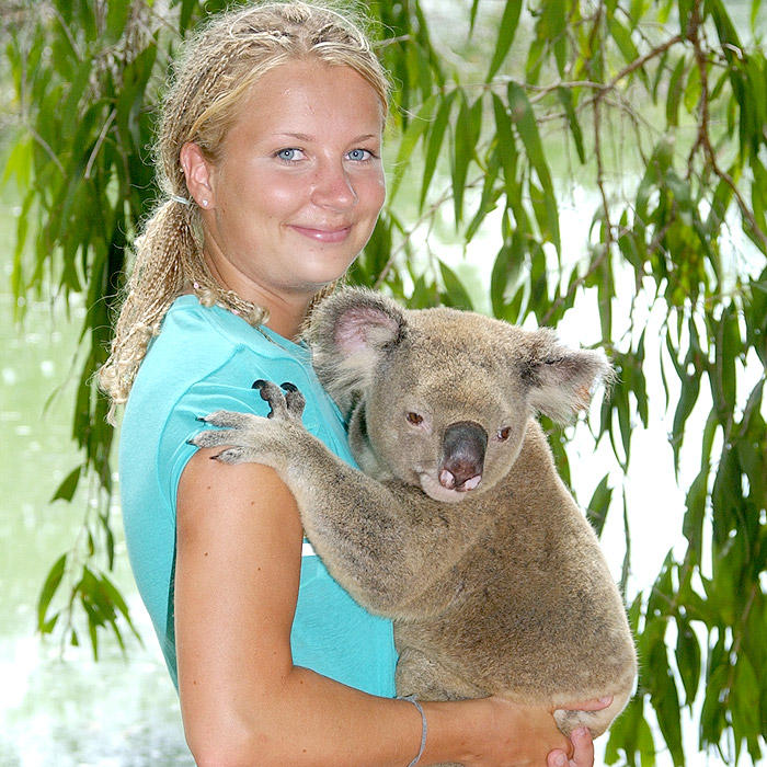 Australian Animals.jpg