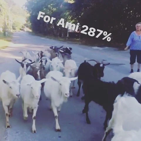 Someone just sent me the best postcard from Bulgaria via Instagram stories. @adimito #cutesenay #happiness #icant 💞