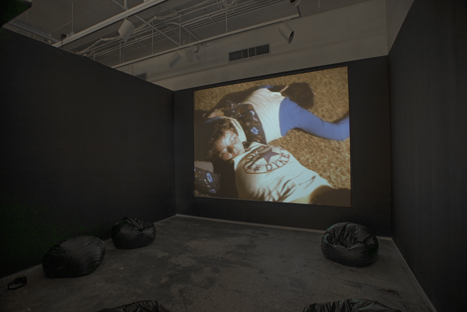 Installation view: Elective Affinities: A Library , Hunter College Art Galleries, 2017. Barbara Hammer, Superdyke , 1975. Courtesy of Electronic Arts Intermix (EAI), NYC and the artist. Photo by Bill Orcutt.