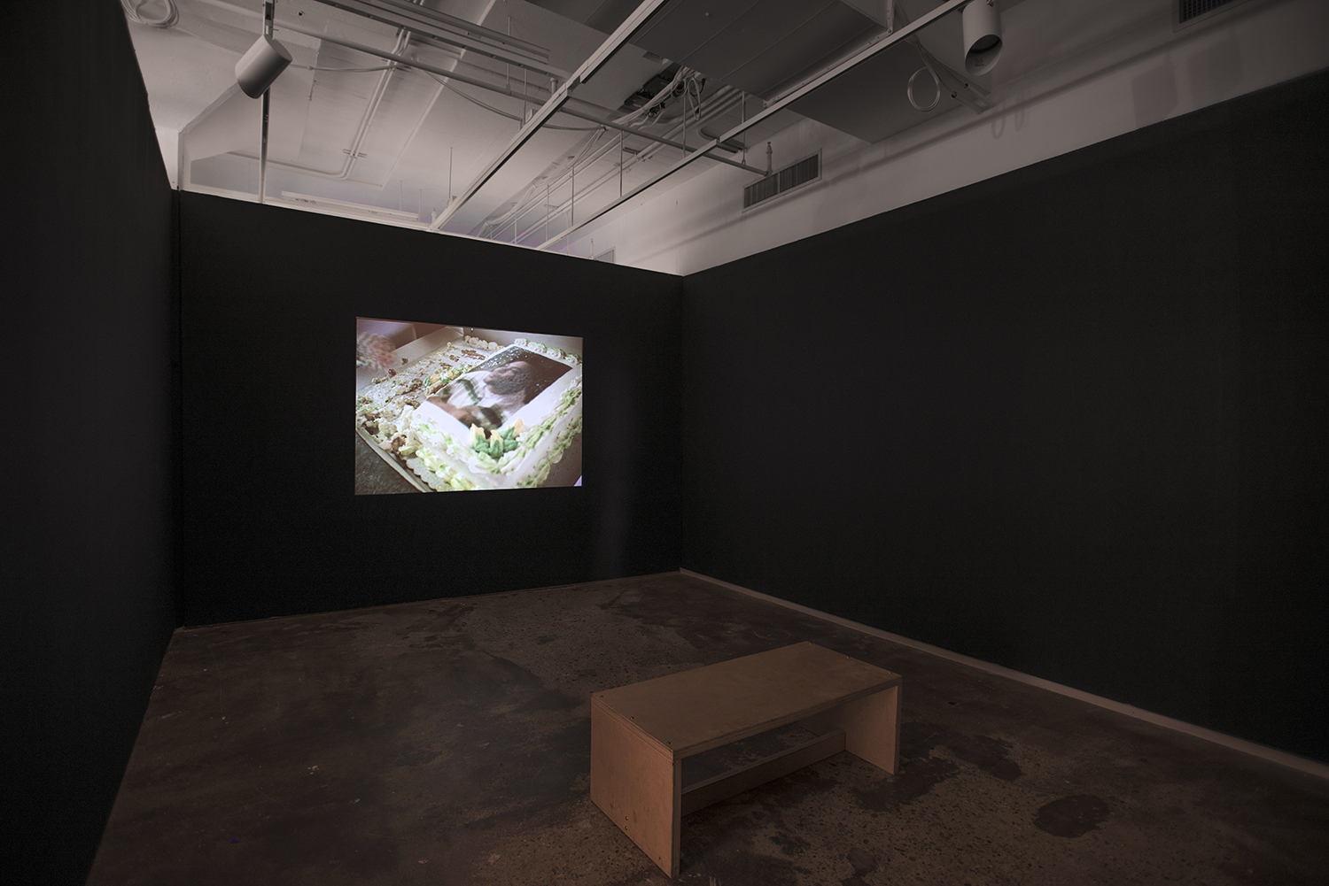 Installation view: Elective Affinities: A Library , Hunter College Art Galleries, 2017. Kevin Everson, Vanilla Cake with Strawberry Filling , 2014. Courtesy the artist; Trilobite- Arts DAC; Picture Palace Pictures. Photo by Bill Orcutt.