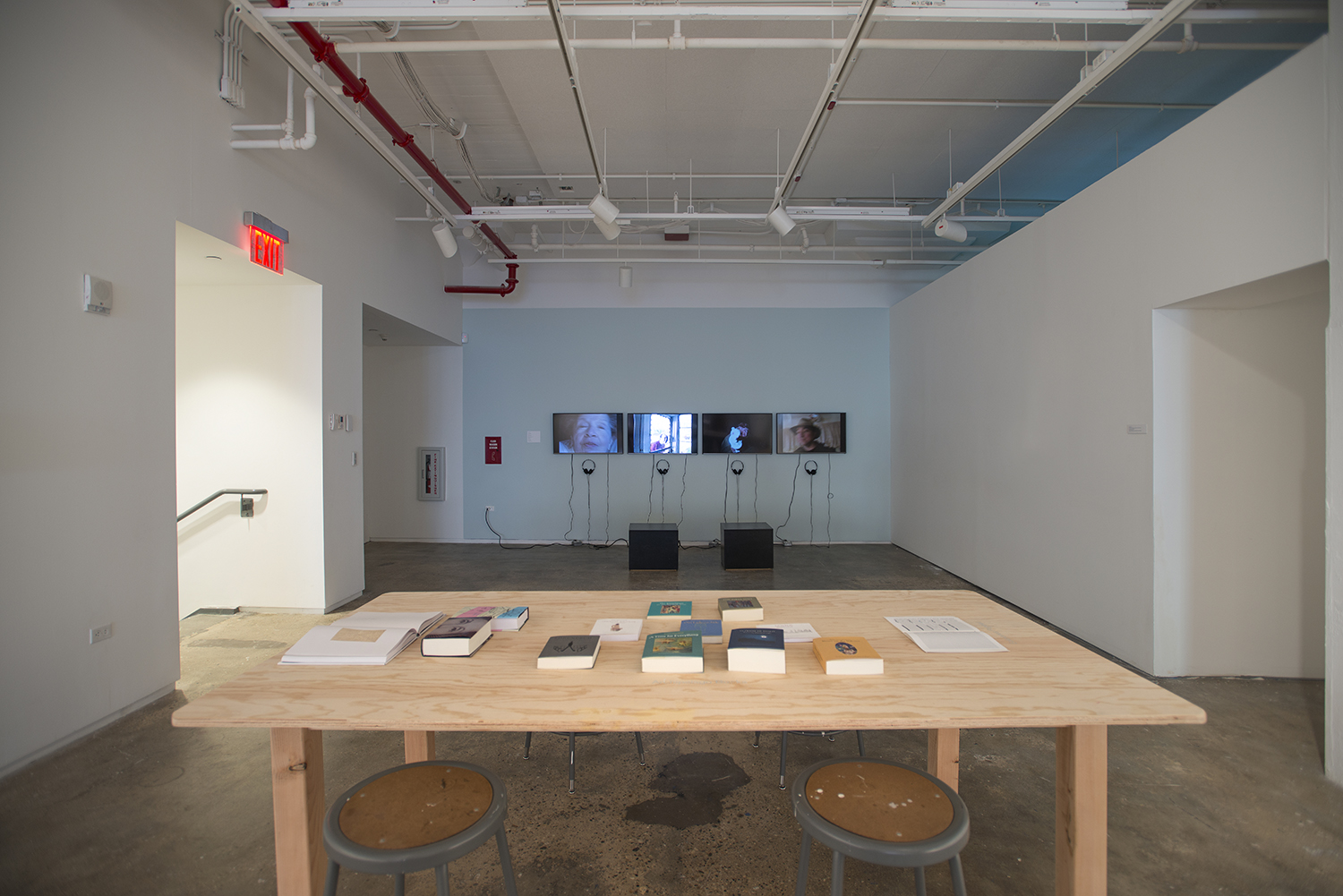 Installation view: Elective Affinities: A Library , Hunter College Art Galleries, 2017. Photo by Bill Orcutt.