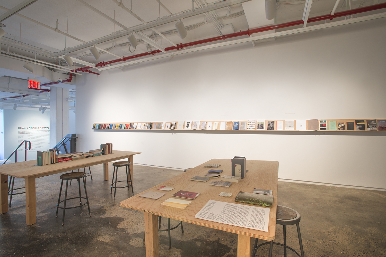 Installation view: Elective Affinities: A Library , Hunter College Art Galleries, 2017. Photo by Bill Orcutt.