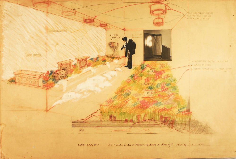 Juan Downey, Life Cycle: Soil + Water + Air = Flowers + Bees = Honey , 1972. Graphite, colored pencil, and collage on paper, 40 x 60 inches. Courtesy of the Estate of Juan Downey, New York. 