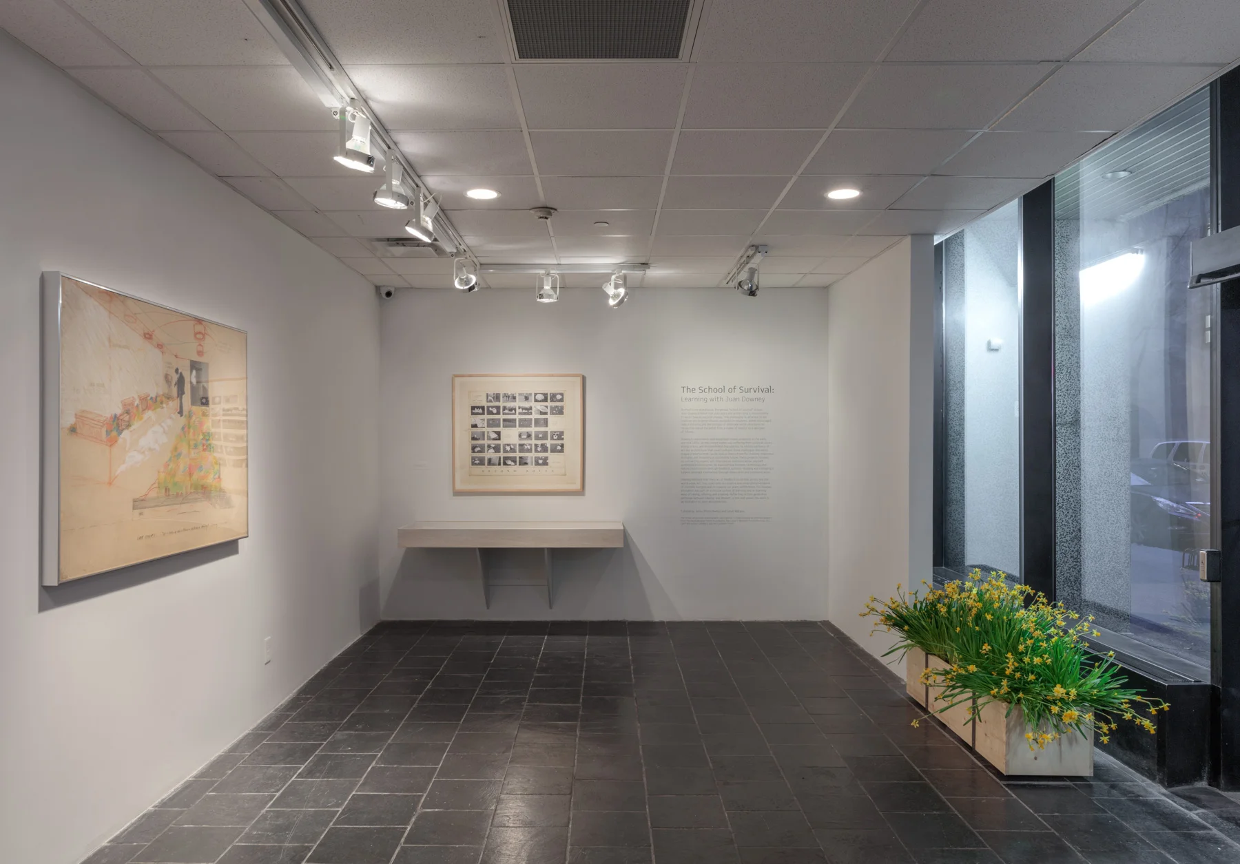 Installation View: The School of Survival: Learning with Juan Downey , Hunter College Art Galleries, 2018. Photo by Stan Narten.