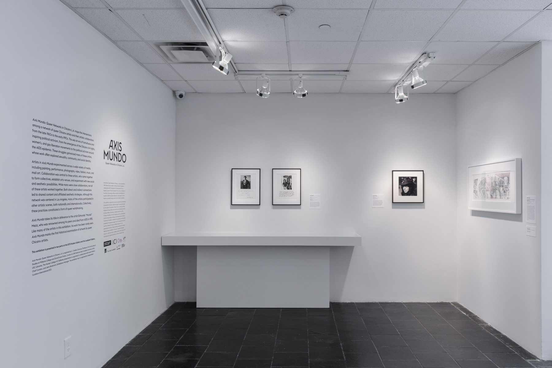 Installation view of Axis Mundo: Queer Networks in Chicano L.A. at the Bertha and Karl Leubsdorf Gallery. Photo by Stan Narten.