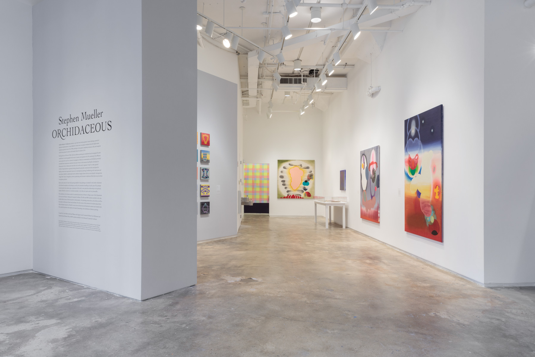 Installation view: Stephen Mueller: Orchidaceous , Hunter College Art Galleries, 2018. Photo by Stan Narten.