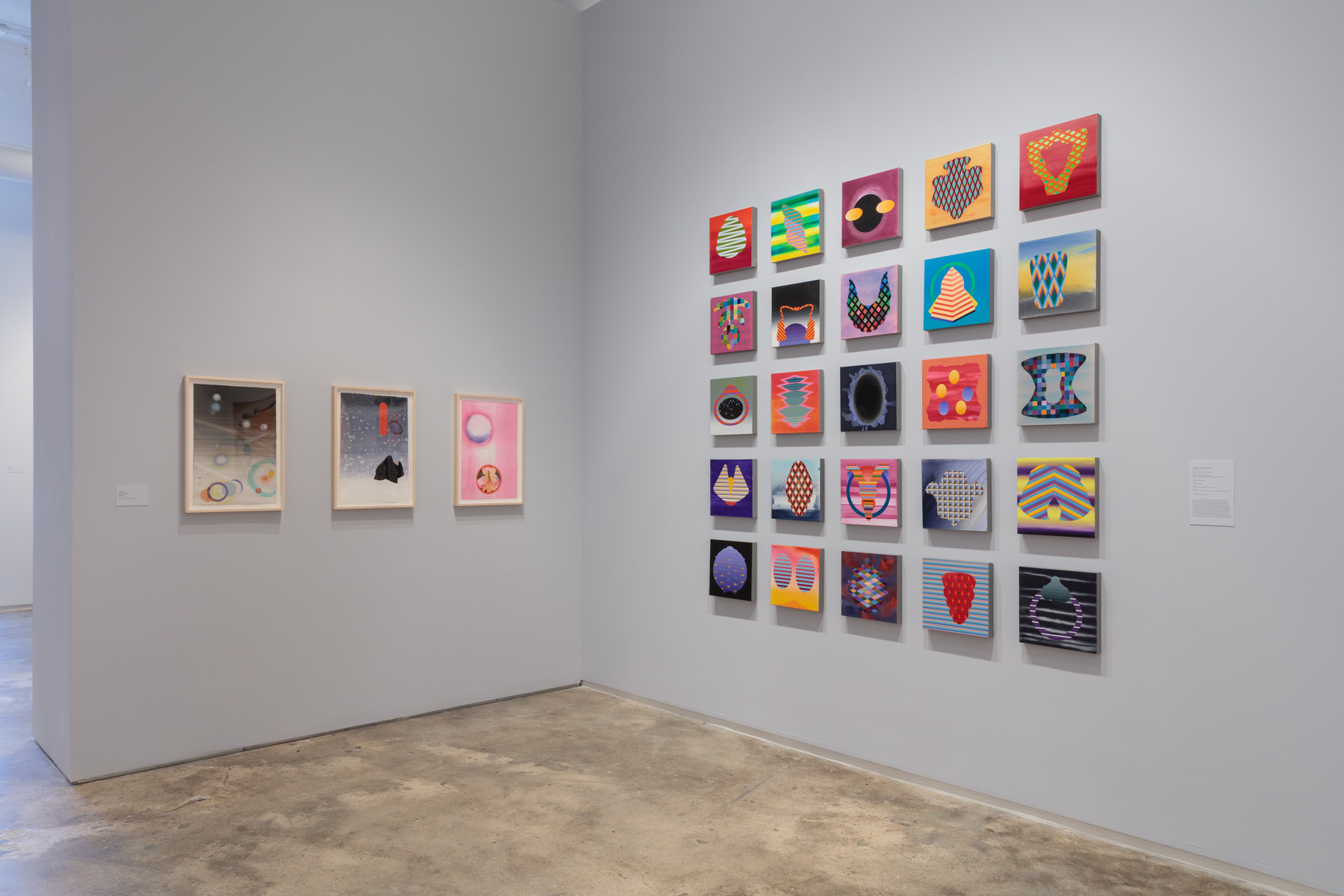Installation view: Stephen Mueller: Orchidaceous , Hunter College Art Galleries, 2018. Photo by Stan Narten.