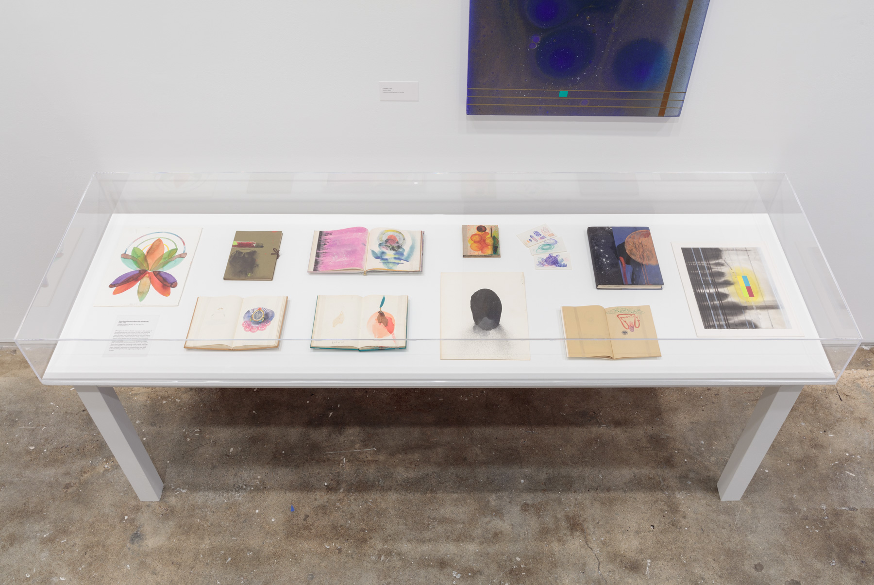 Installation view: Stephen Mueller: Orchidaceous , Hunter College Art Galleries, 2018. Photo by Stan Narten.