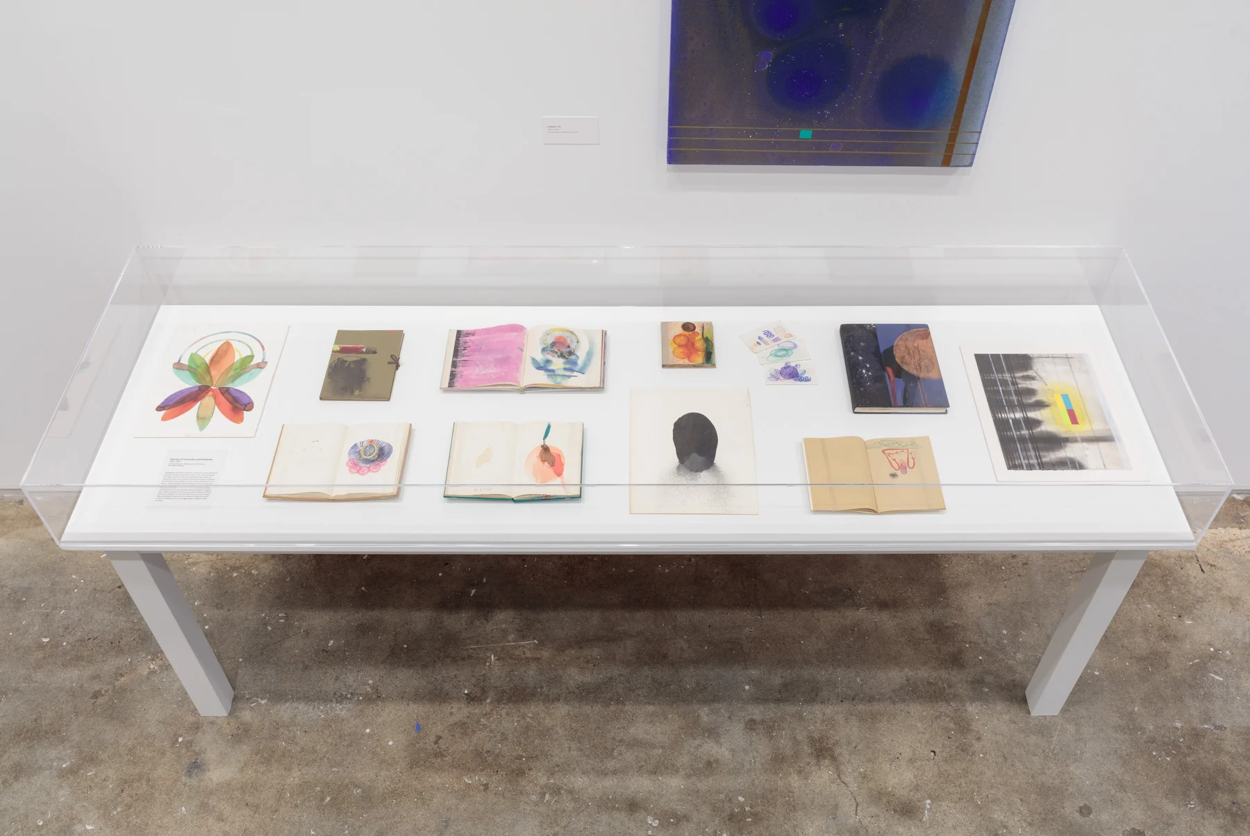 Installation view: Stephen Mueller: Orchidaceous , Hunter College Art Galleries, 2018. Photo by Stan Narten.