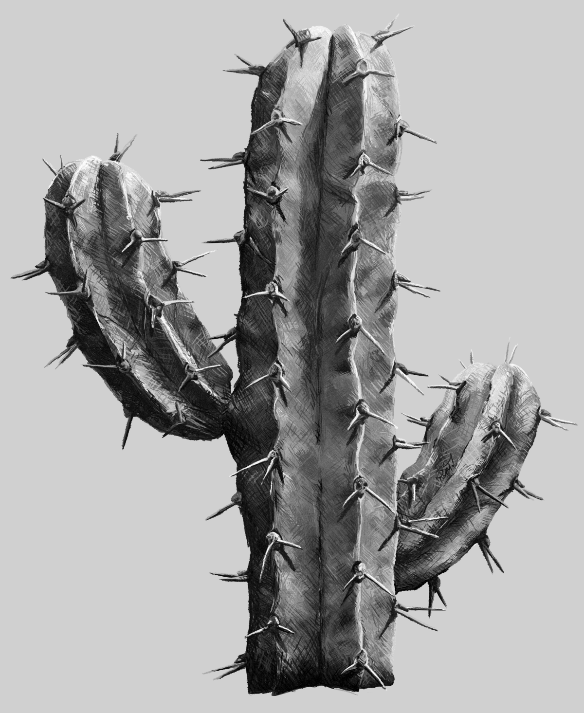 cactus_pencily_wG.png
