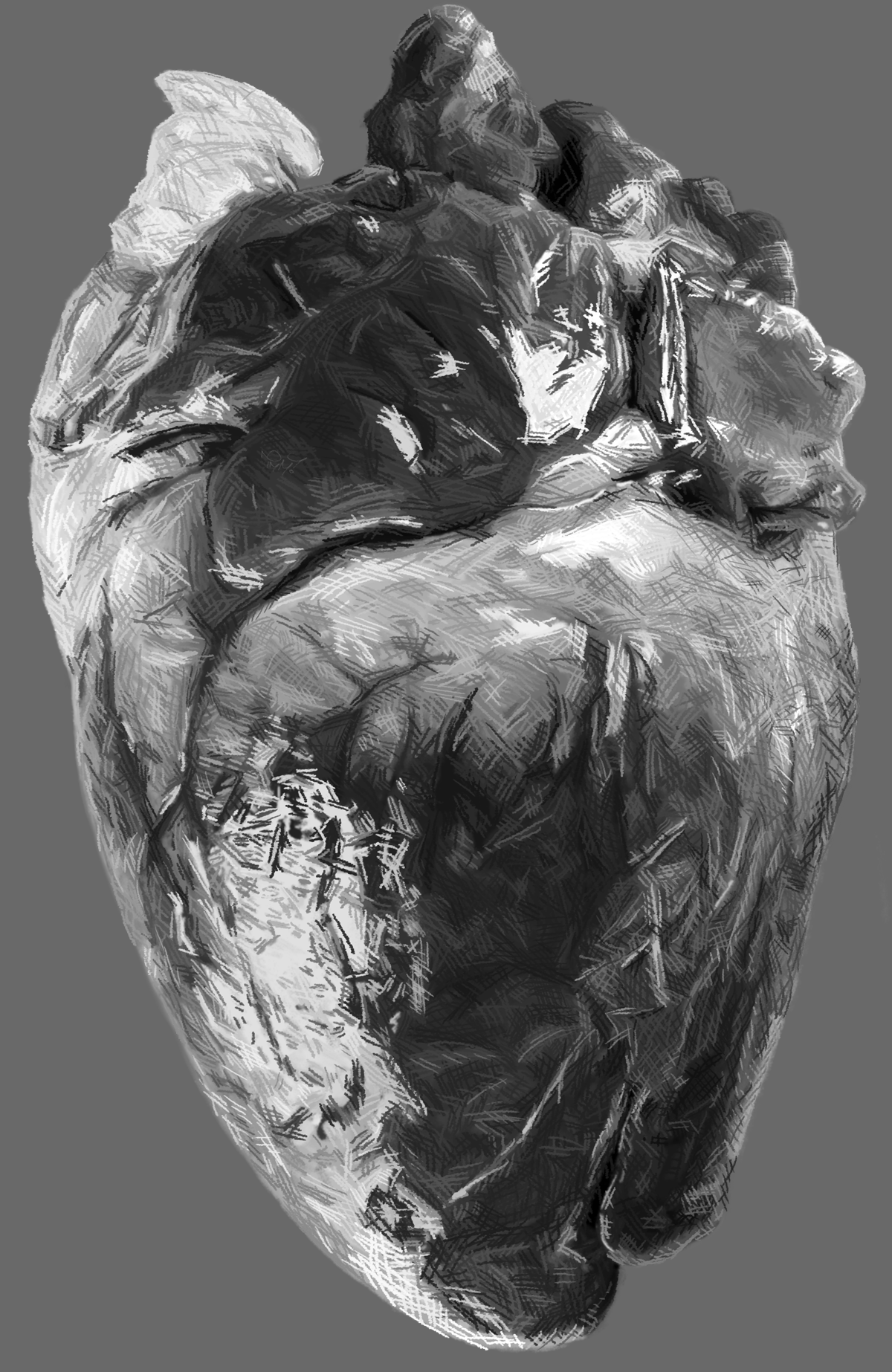 heart_pencily_wG.png
