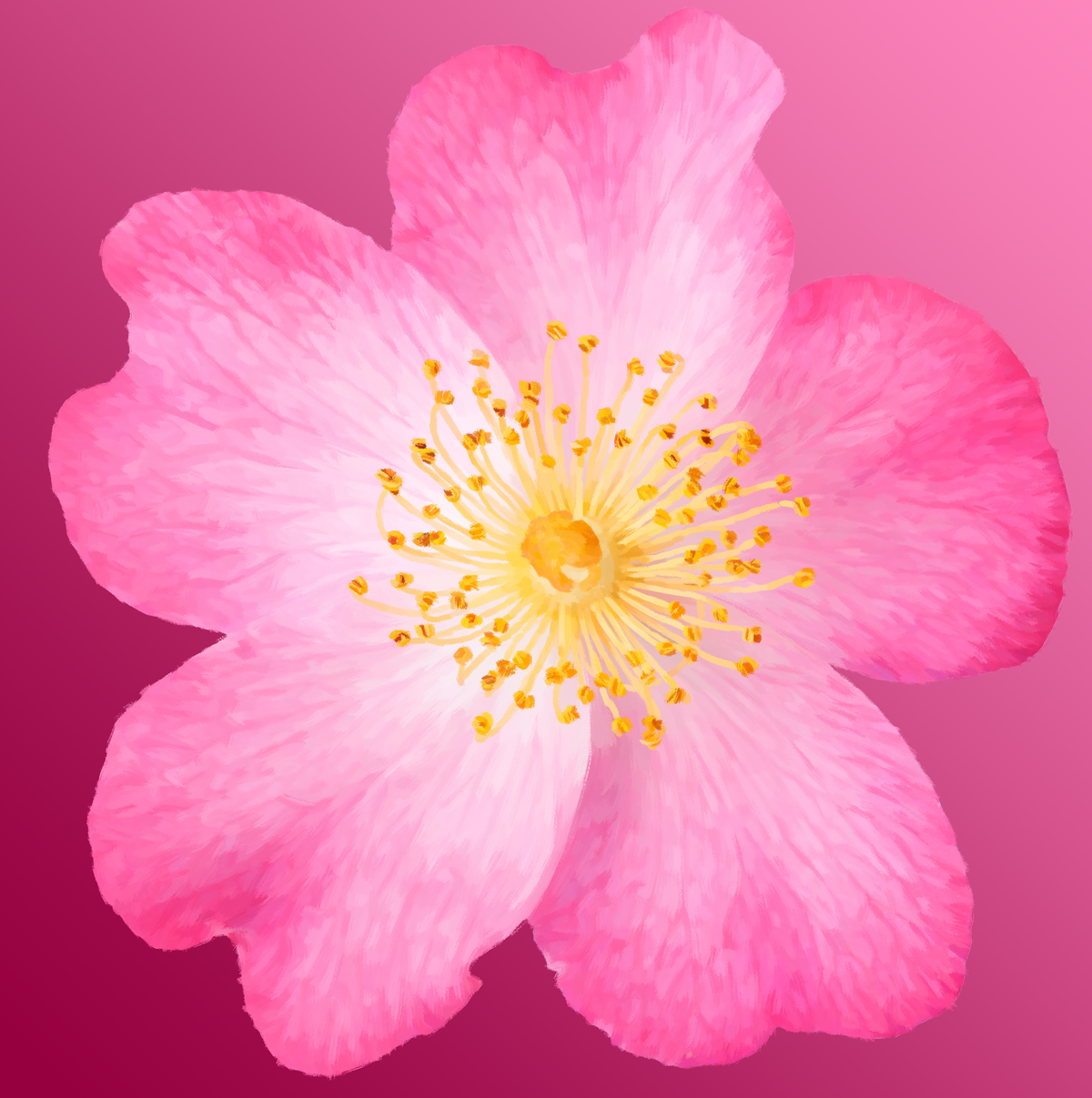 painterly_cherry-blossom_wP.png